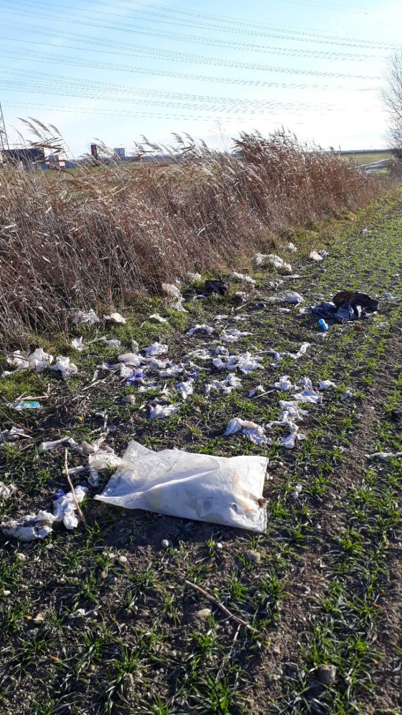 litter in DRECKSPOTZ | GLOBAL 2000 App spotted by GeoNettl on 27.12.2020