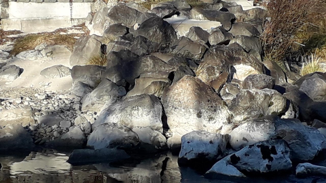 virtual scale in CrowdWater App spotted by Königseeache on 21.12.2020