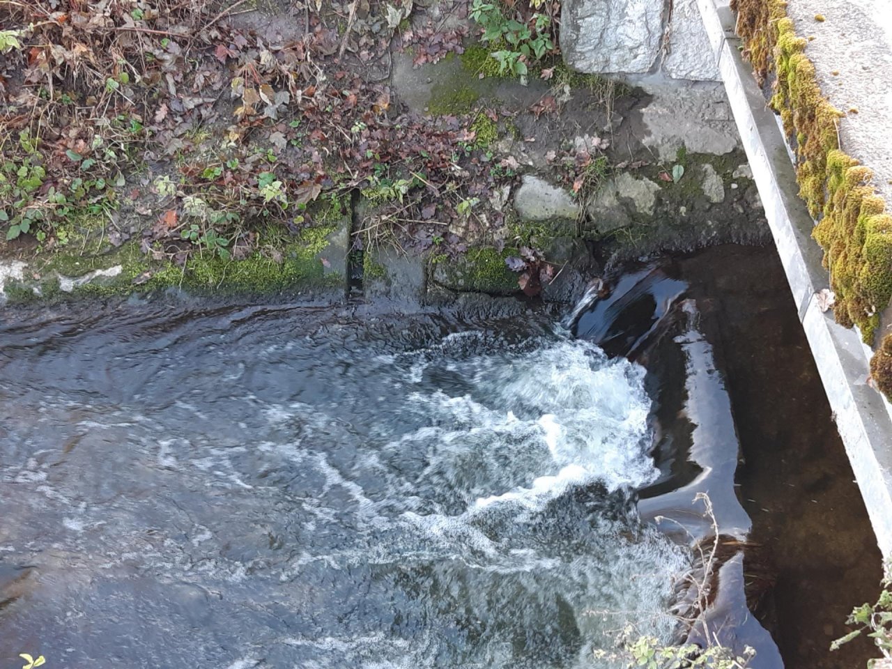 virtual scale in CrowdWater App spotted by Auria Buchs on 14.12.2020