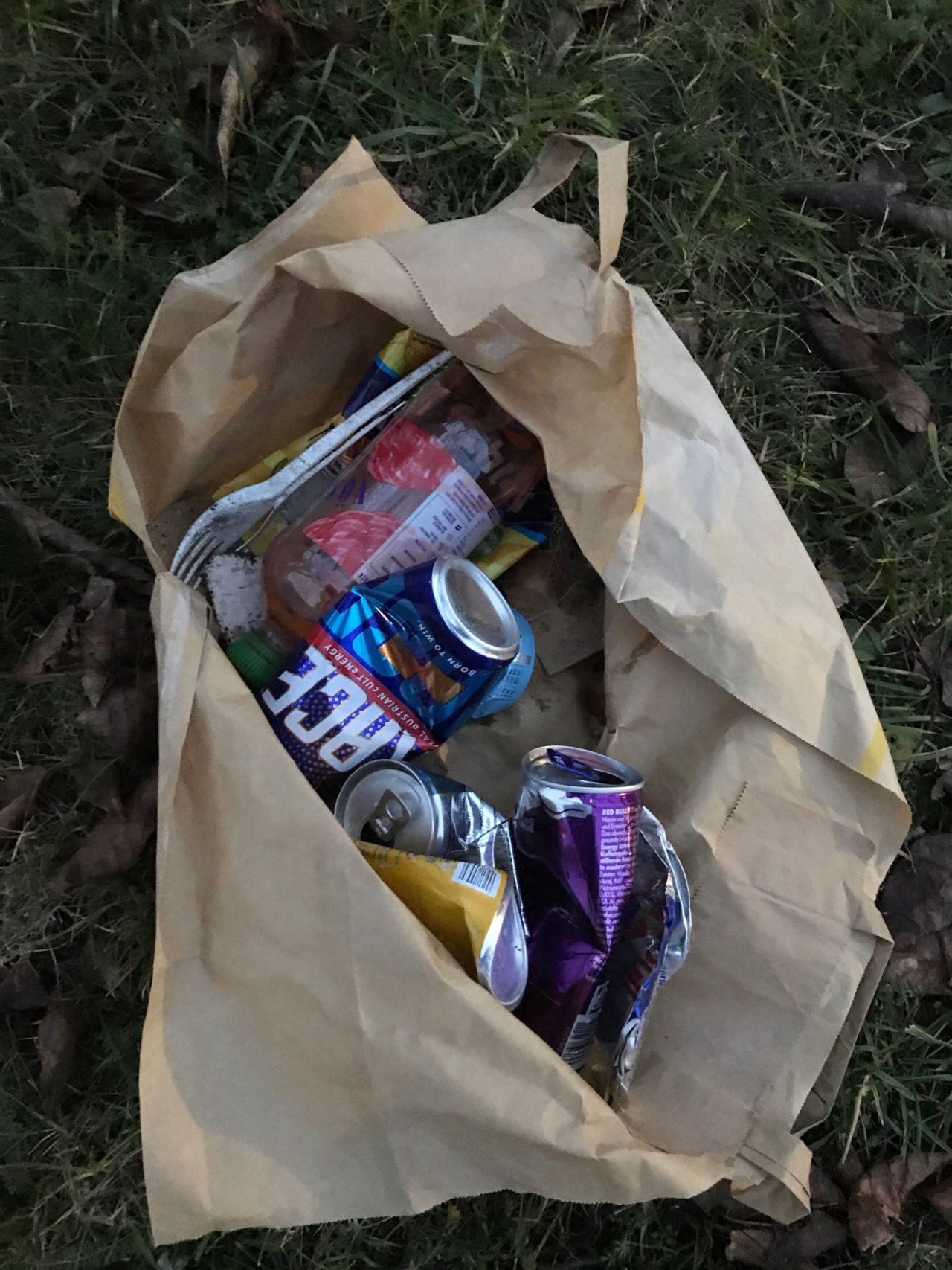 litter in DRECKSPOTZ | GLOBAL 2000 App spotted by Gabriele Kriz on 21.12.2020