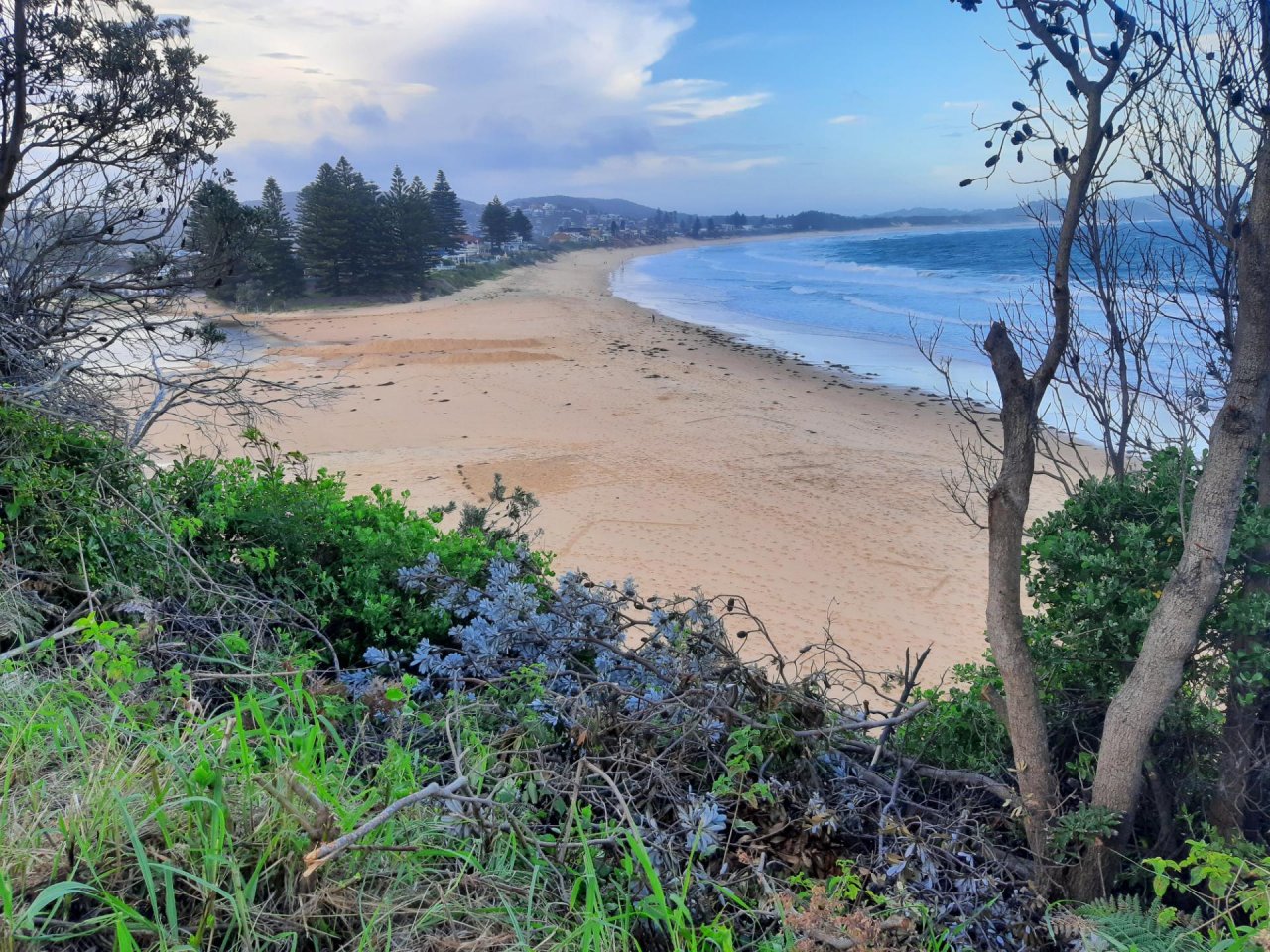 Coastsnap Station in CoastSnap App spotted by William Buchanan on 16.12.2020