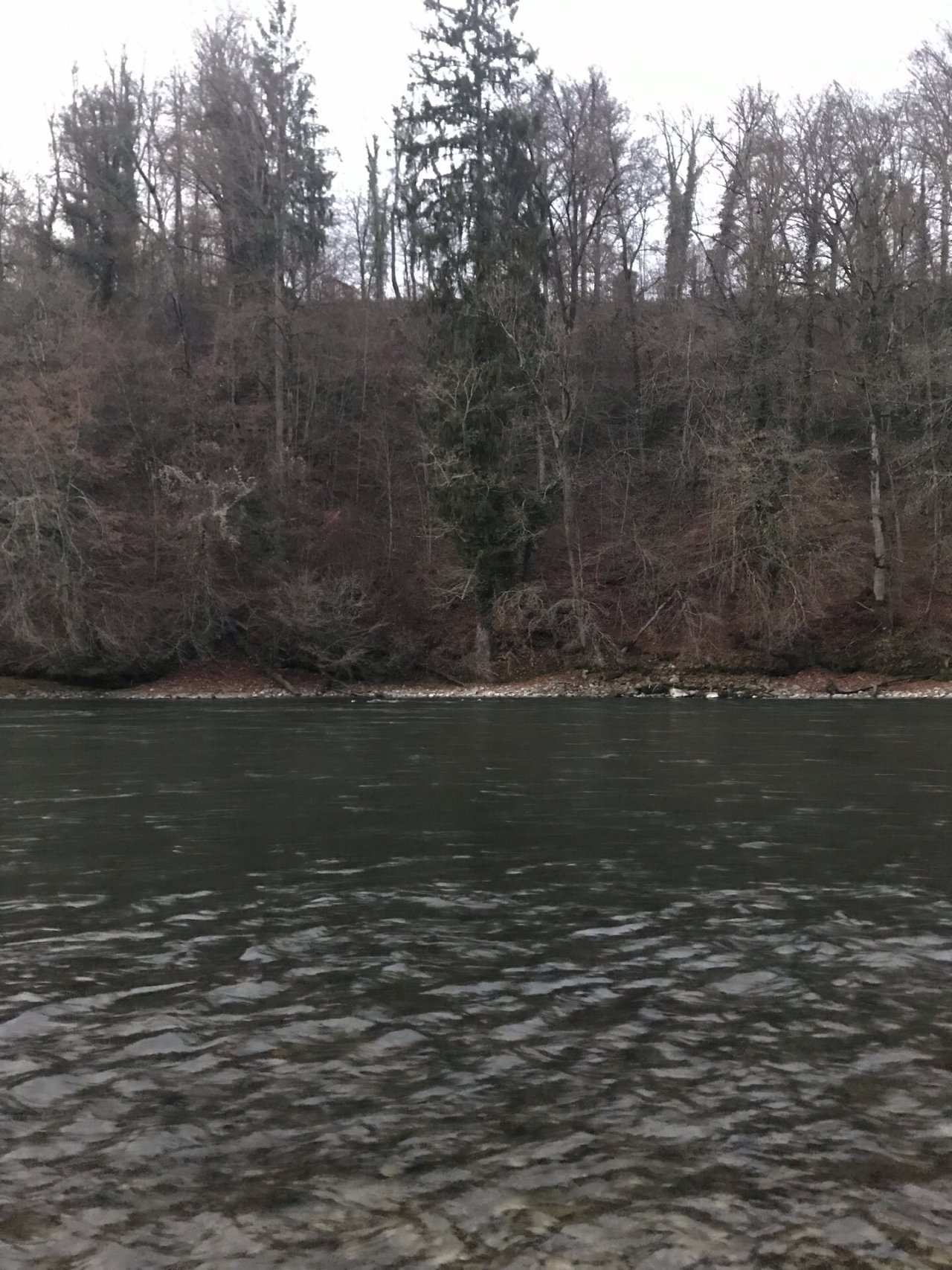 virtual scale in CrowdWater App spotted by sarvishtamehta on 14.12.2020