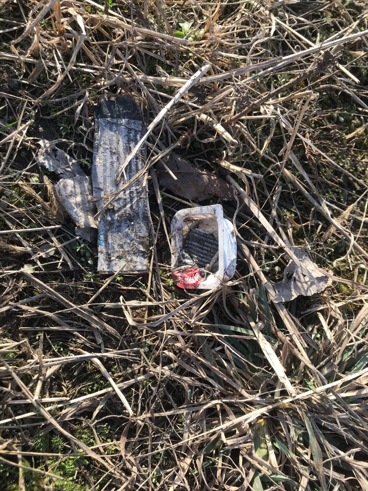litter in DRECKSPOTZ | GLOBAL 2000 App spotted by Gabriele Kriz on 18.02.2021