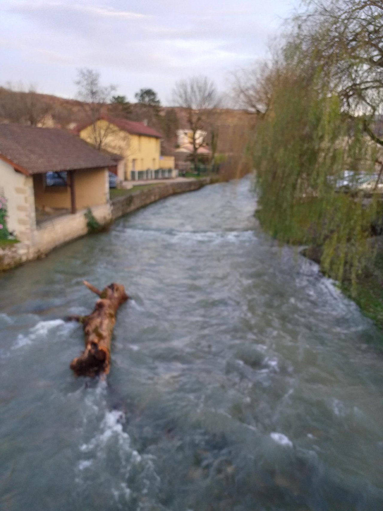 temporary stream in CrowdWater App spotted by SR3A, Ain on 16.12.2020