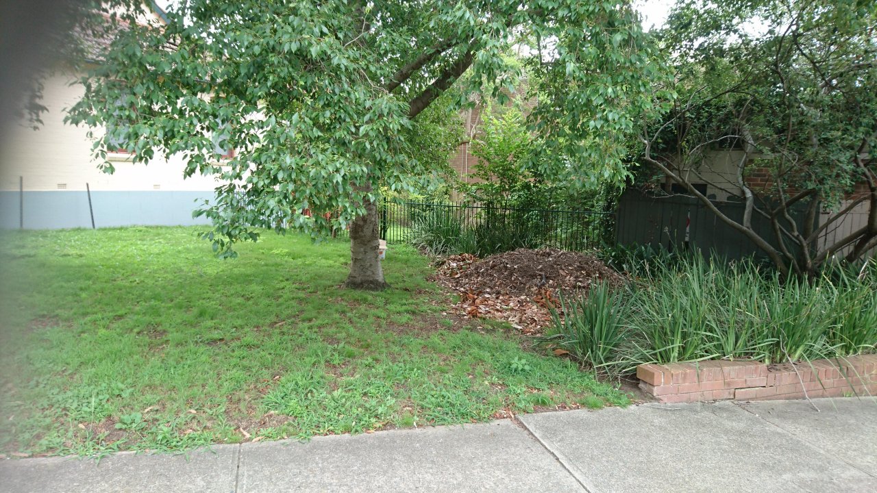 mounds in BrushTurkeys App spotted by Langley on 27.12.2020