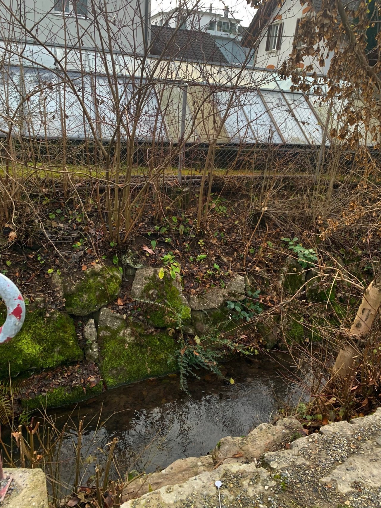 virtual scale in CrowdWater App spotted by MiaSavic on 14.12.2020