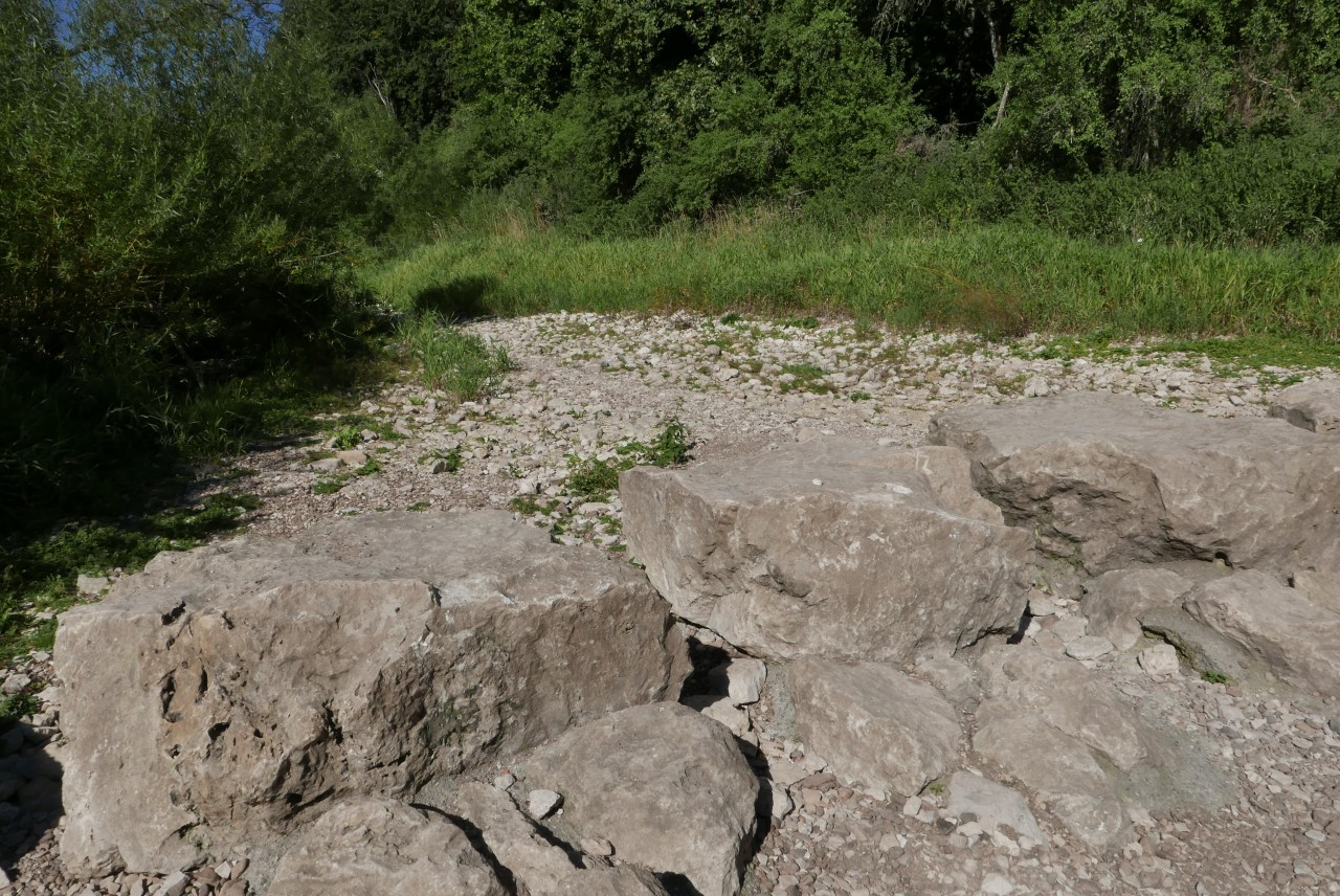 ein paar hundert Meter weiter: nur noch Trockenheit | Landauf, LandApp BW 