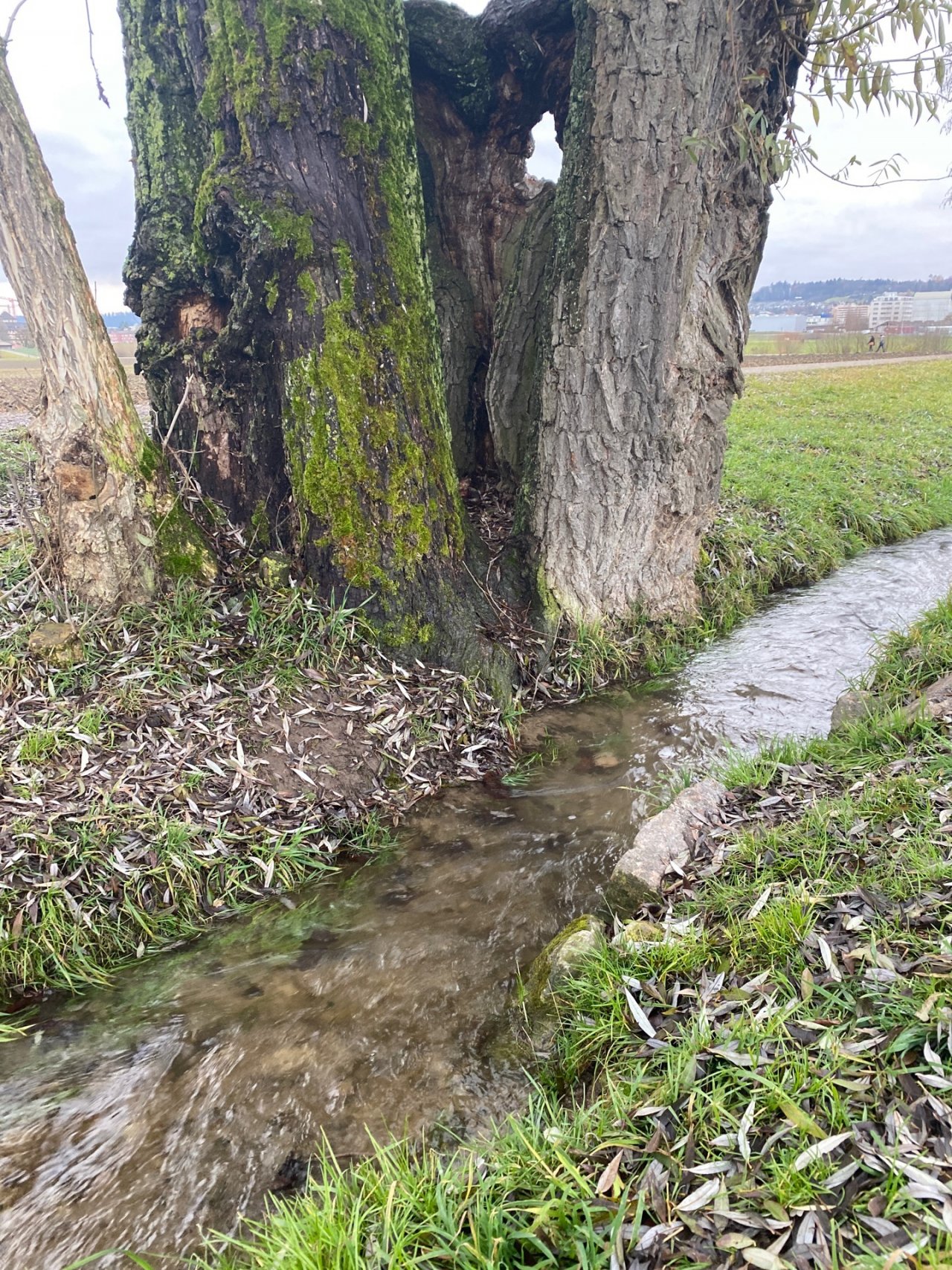 virtual scale in CrowdWater App spotted by StefHert on 13.12.2020