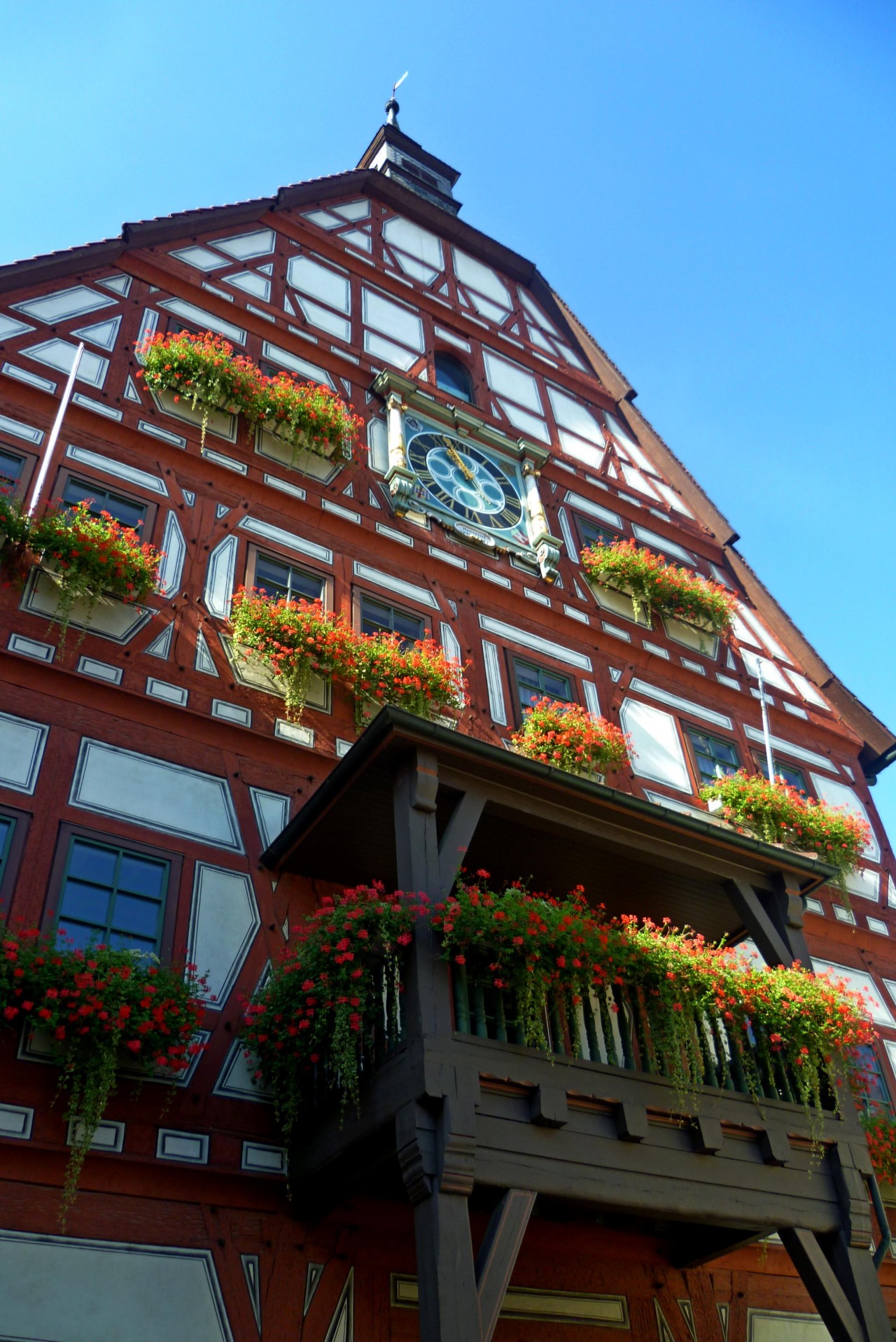 Rathaus im Blumenschmuck | Landauf, LandApp BW App | 10.12.2020