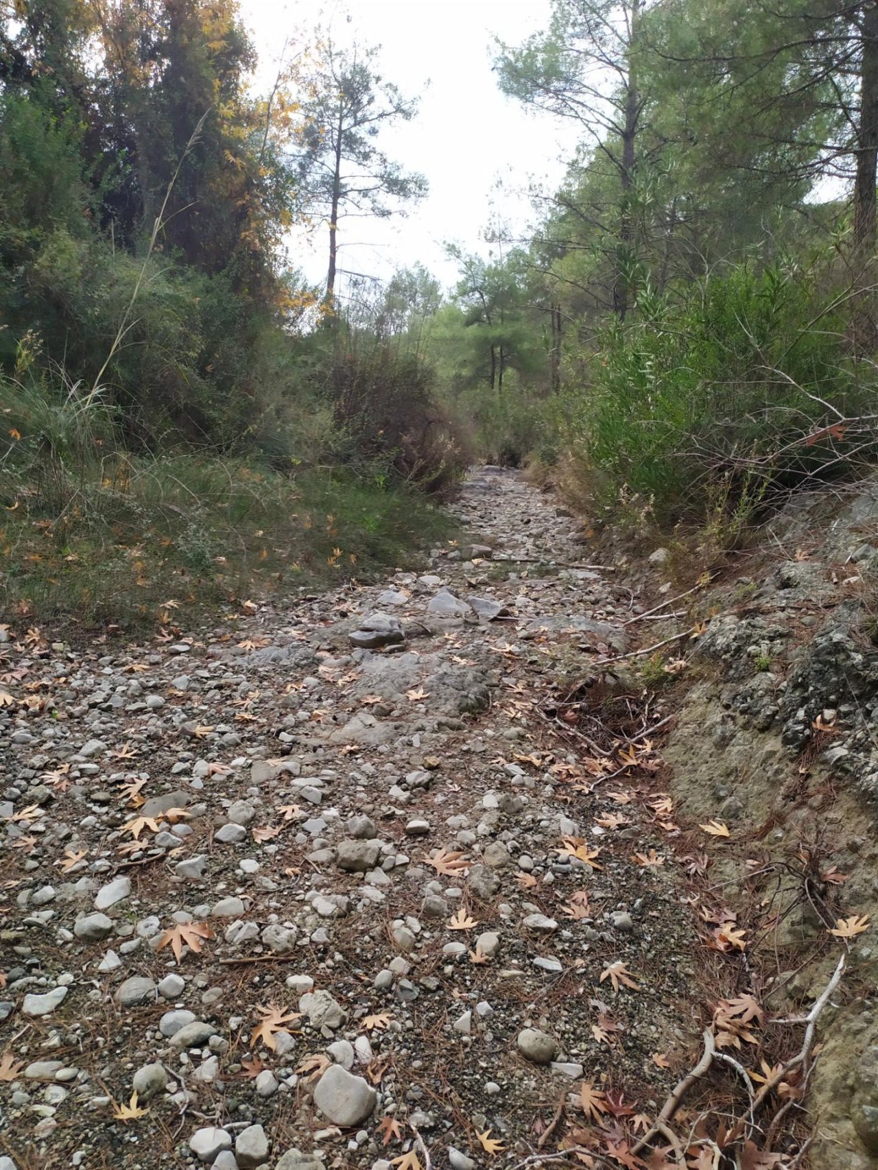 temporary stream in CrowdWater App spotted by Iakovos Tziortzis on 16.12.2020