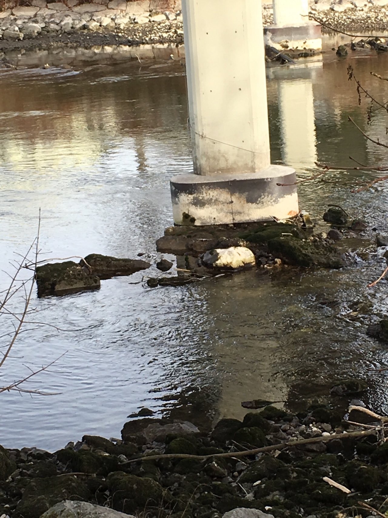 virtual scale in CrowdWater App spotted by Karin Ebermann on 21.12.2020