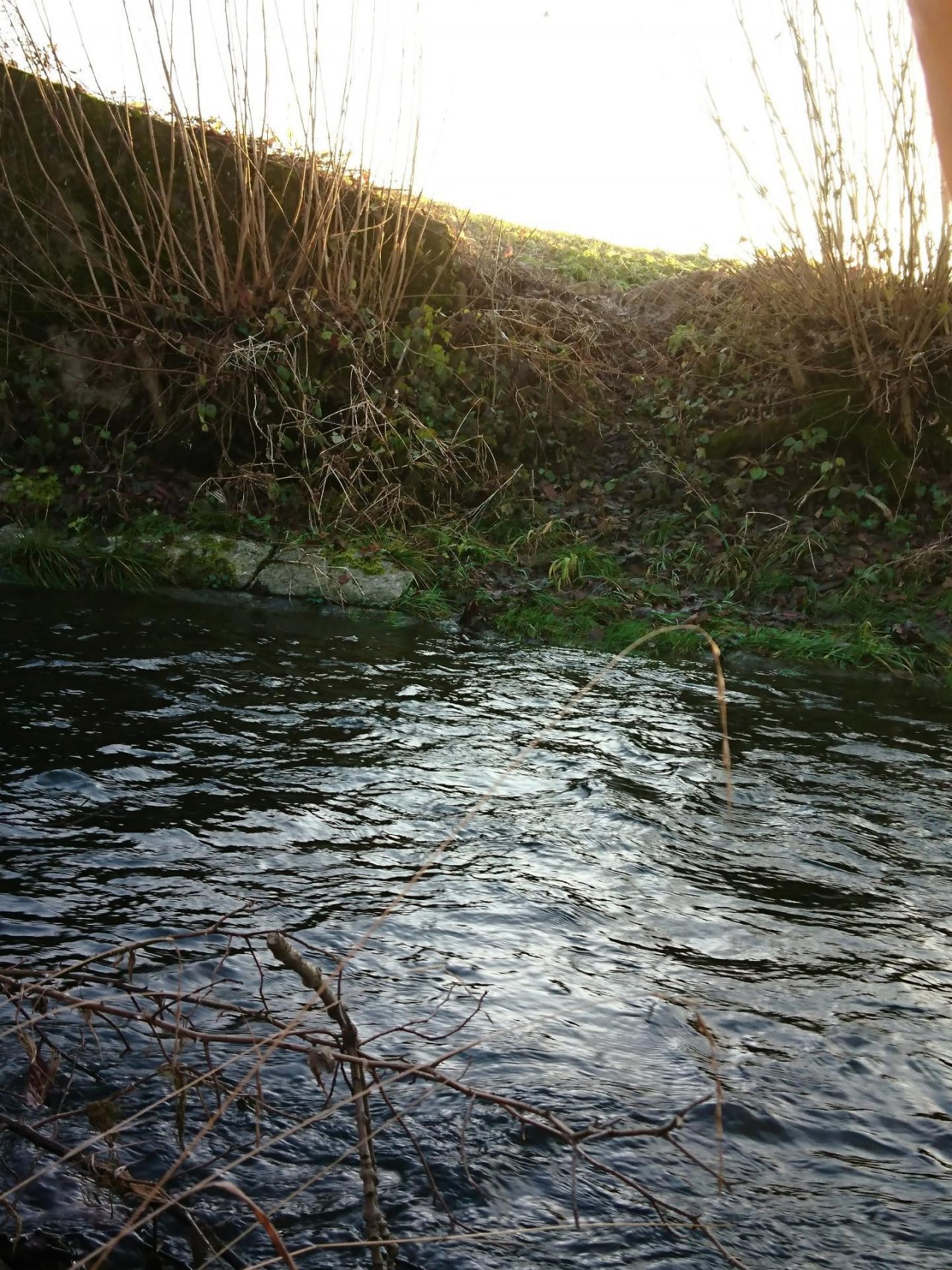 virtual scale in CrowdWater App spotted by MonikaD on 17.12.2020