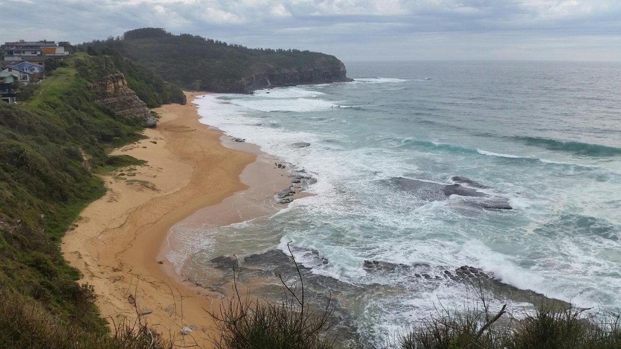 Free Roaming in CoastSnap App spotted by Lewis Slarke on 17.12.2020