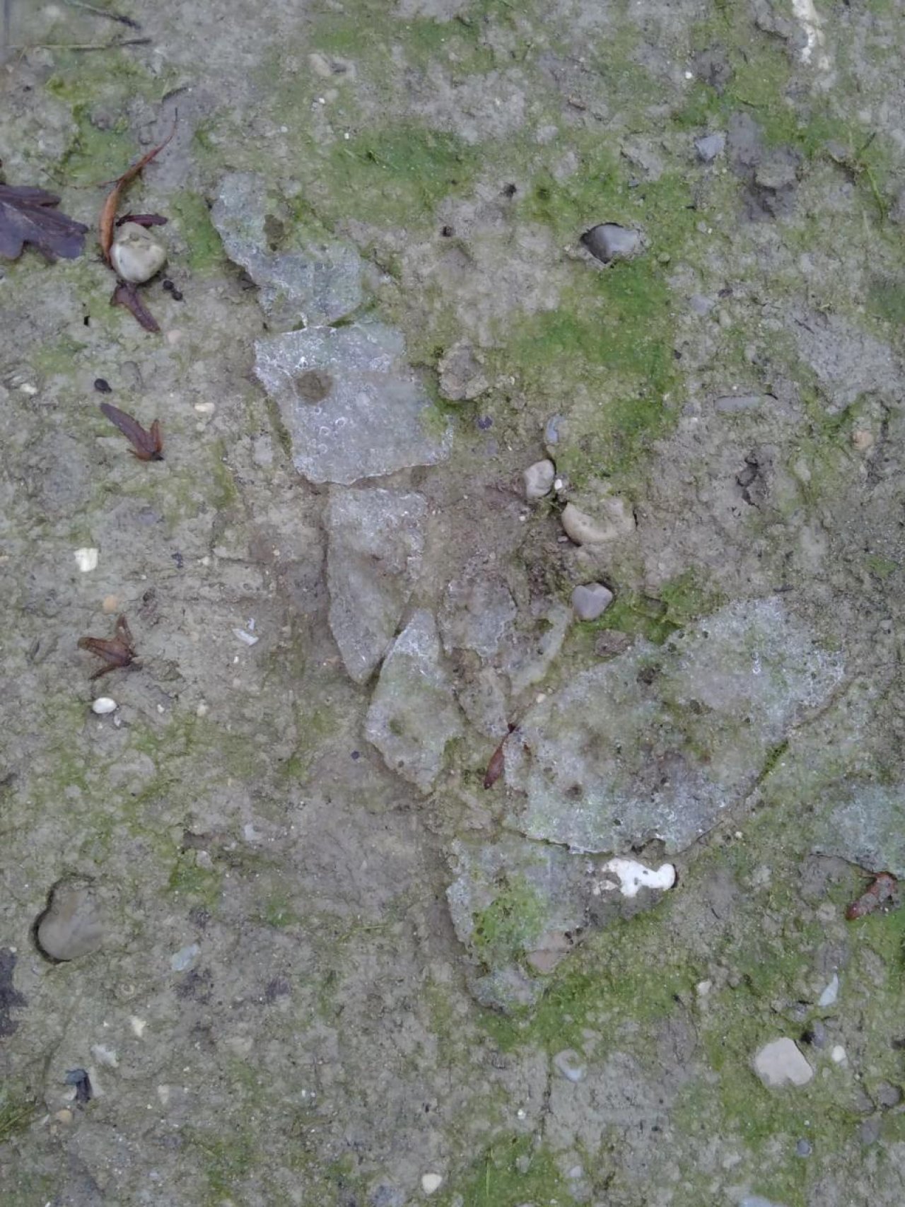 Eis auf Bächen und Teichen in Naturkalender App spotted by Doris Stampfer on 13.12.2020