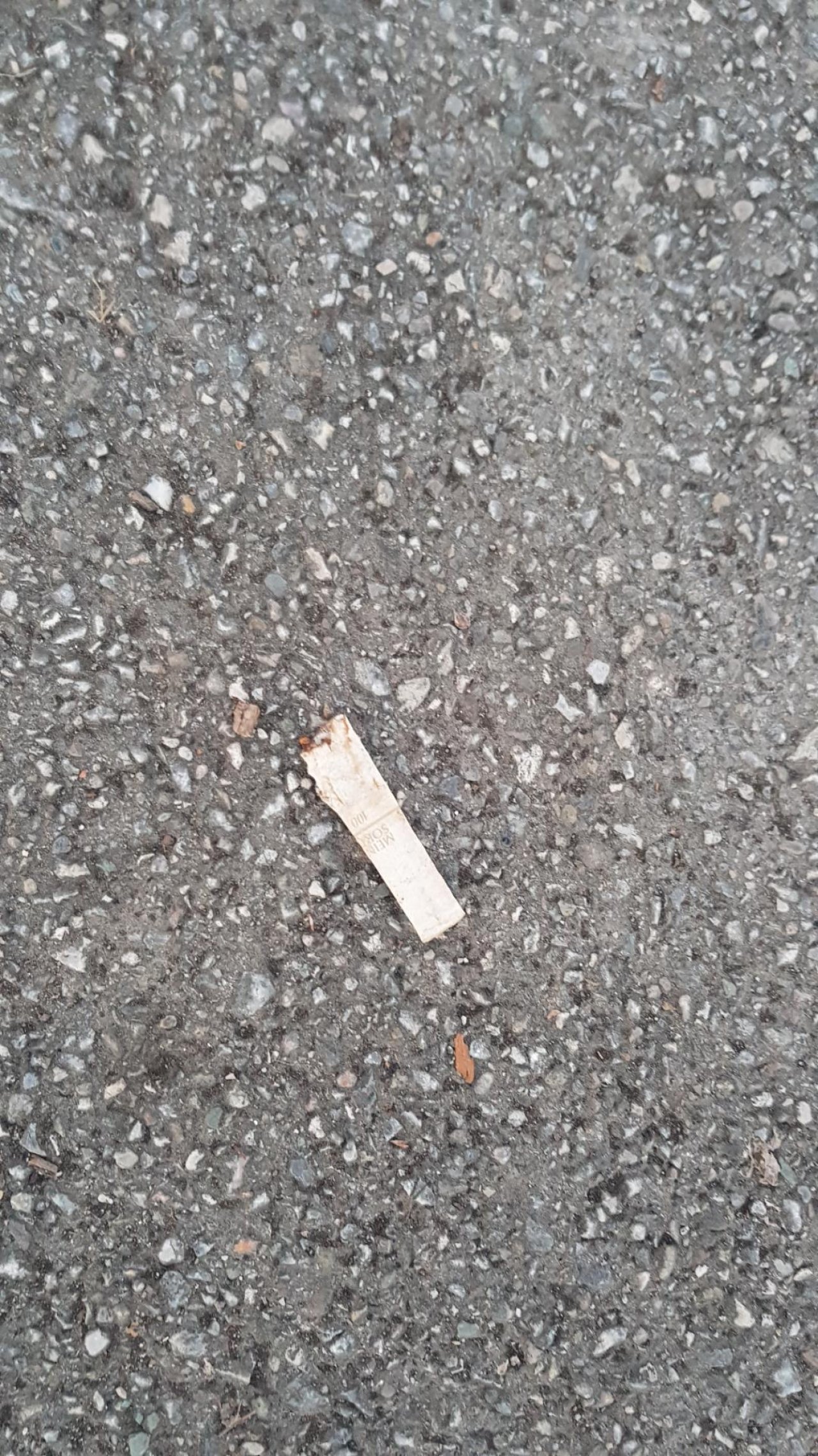 litter in DRECKSPOTZ | GLOBAL 2000 App spotted by HOEK2021DC on 02.03.2021