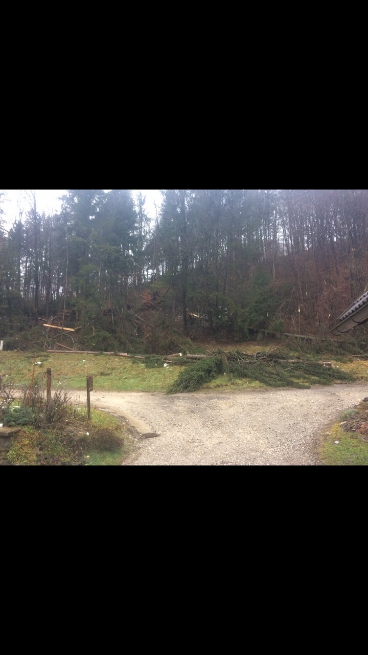 | Naturkalender App | 12.12.2017