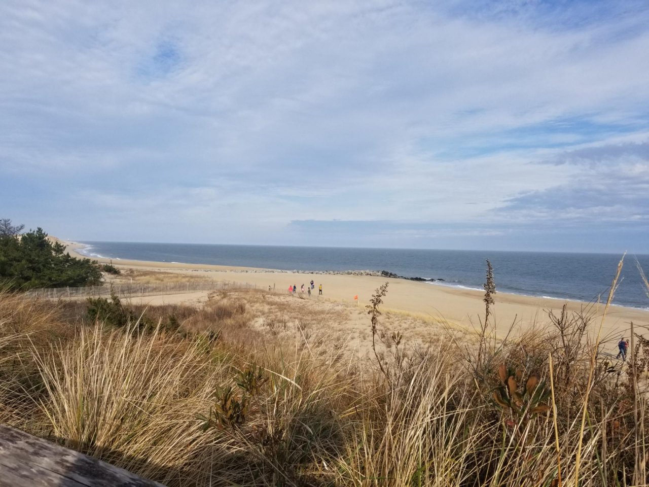 Coastsnap Station in CoastSnap App spotted by Grant Otto on 12.12.2020