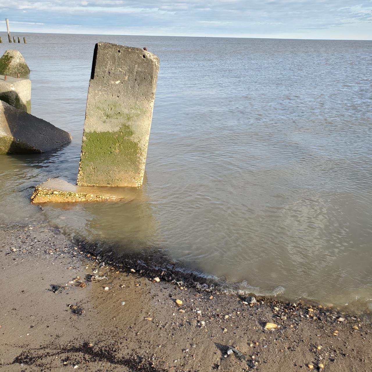 Water quality in Coastal Observer App spotted by Jennifer Boland on 02.01.2021