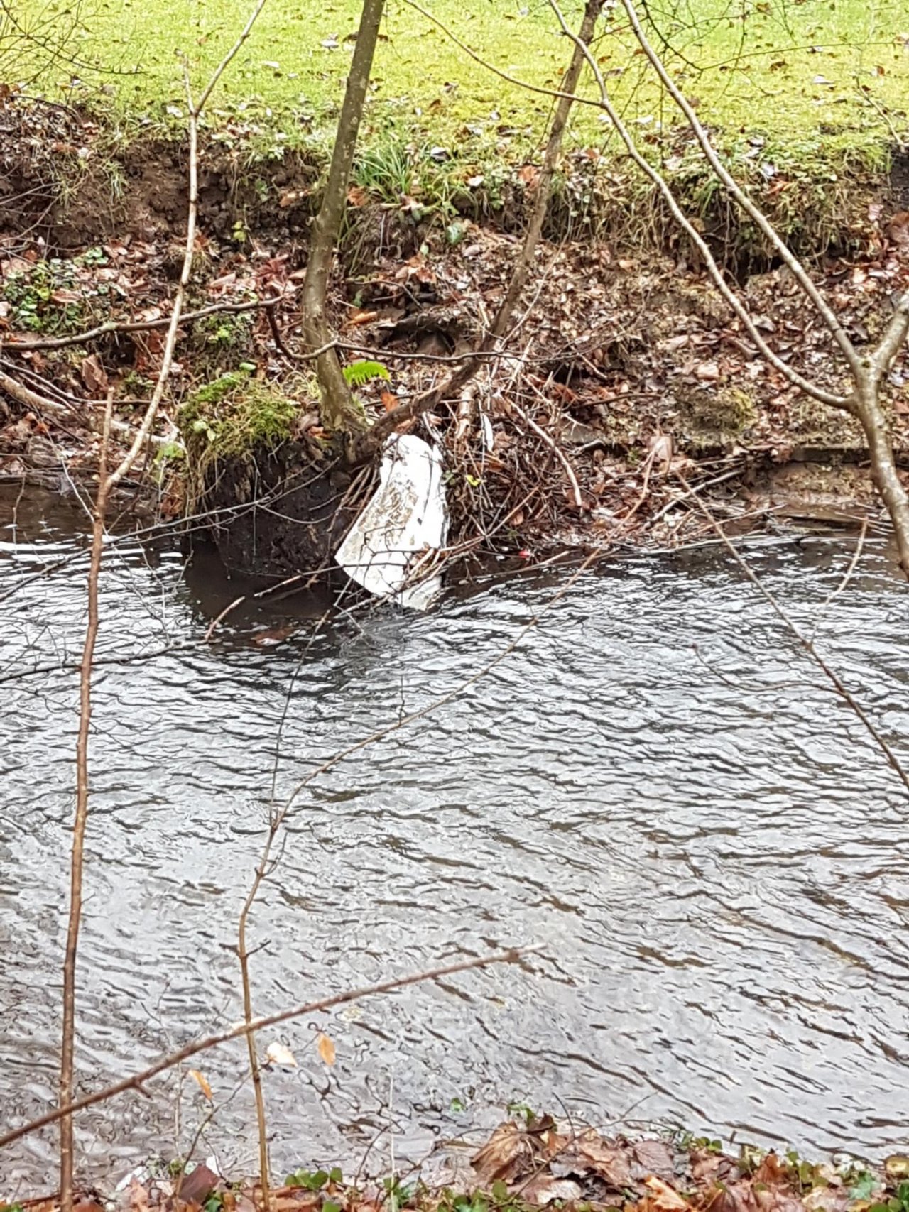 virtual scale in CrowdWater App spotted by Bergi on 09.12.2020