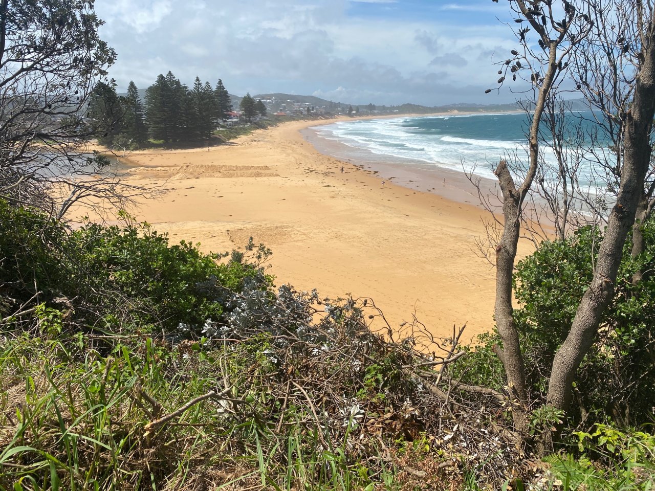 Coastsnap Station in CoastSnap App spotted by Warrbrown on 16.12.2020