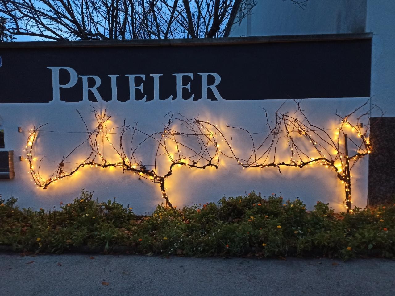 Auch als Advent Beleuchtung gut | Naturkalender App | 10.12.2020