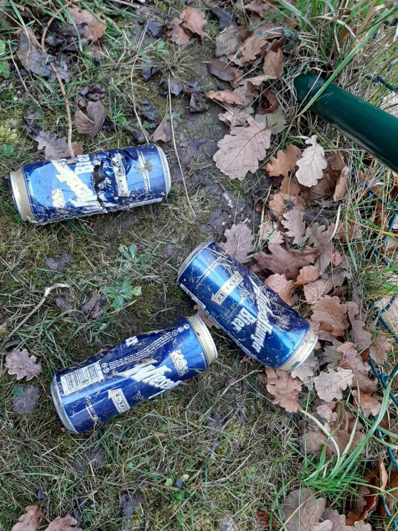 litter in DRECKSPOTZ | GLOBAL 2000 App spotted by Gudrun H. on 17.12.2020