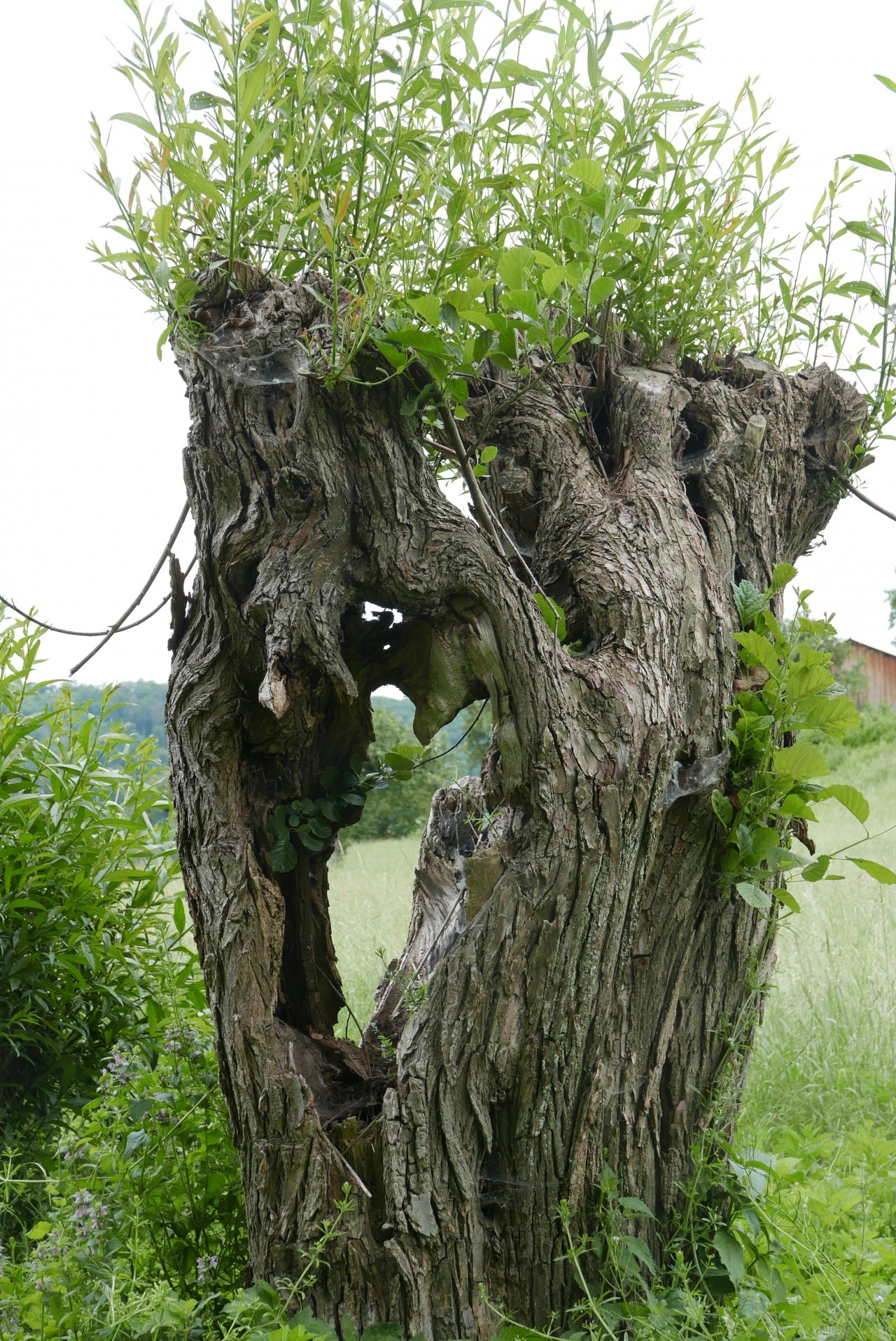 | Landauf, LandApp BW App | 10.12.2020