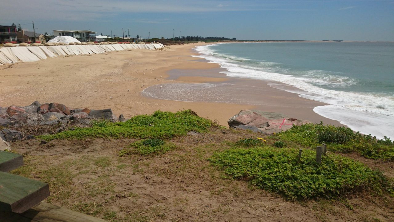 Coastsnap Station in CoastSnap App spotted by Stockton1 on 18.12.2020