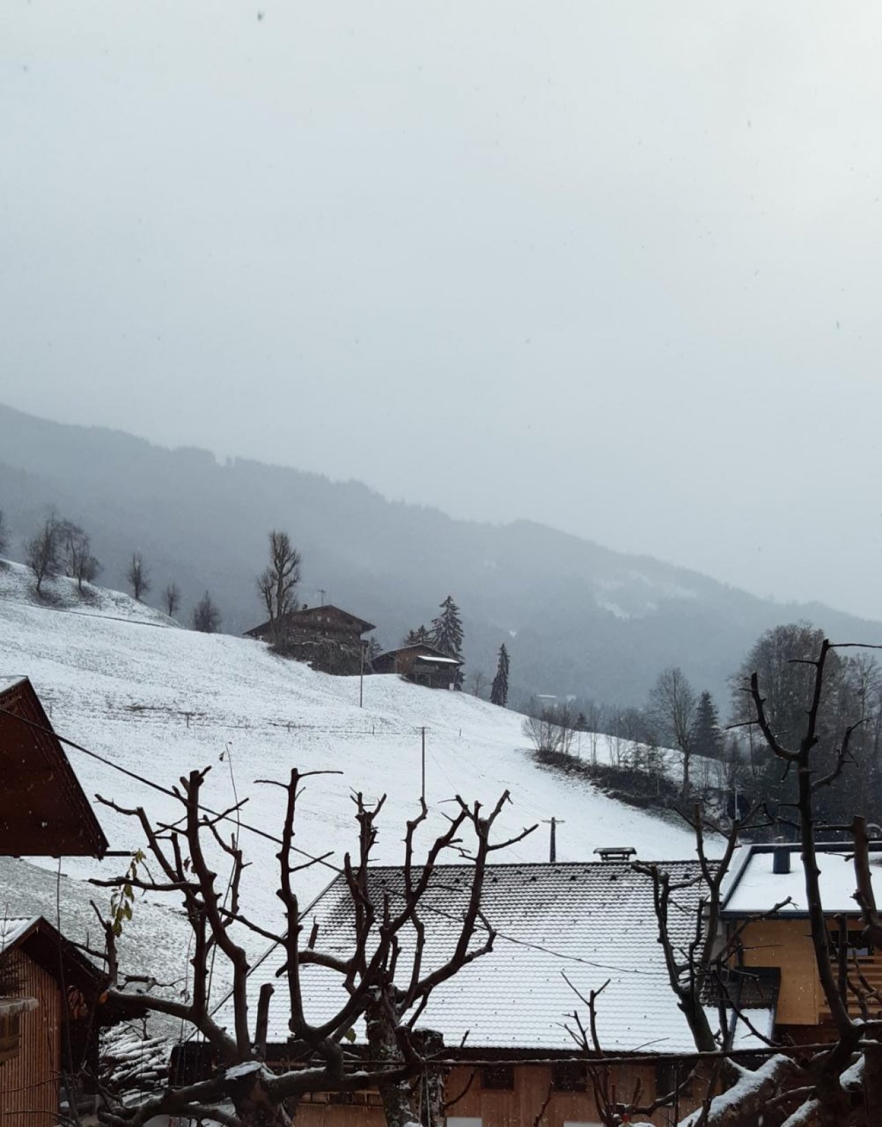 Schneefall in Naturkalender App spotted by Steinbock on 13.12.2020