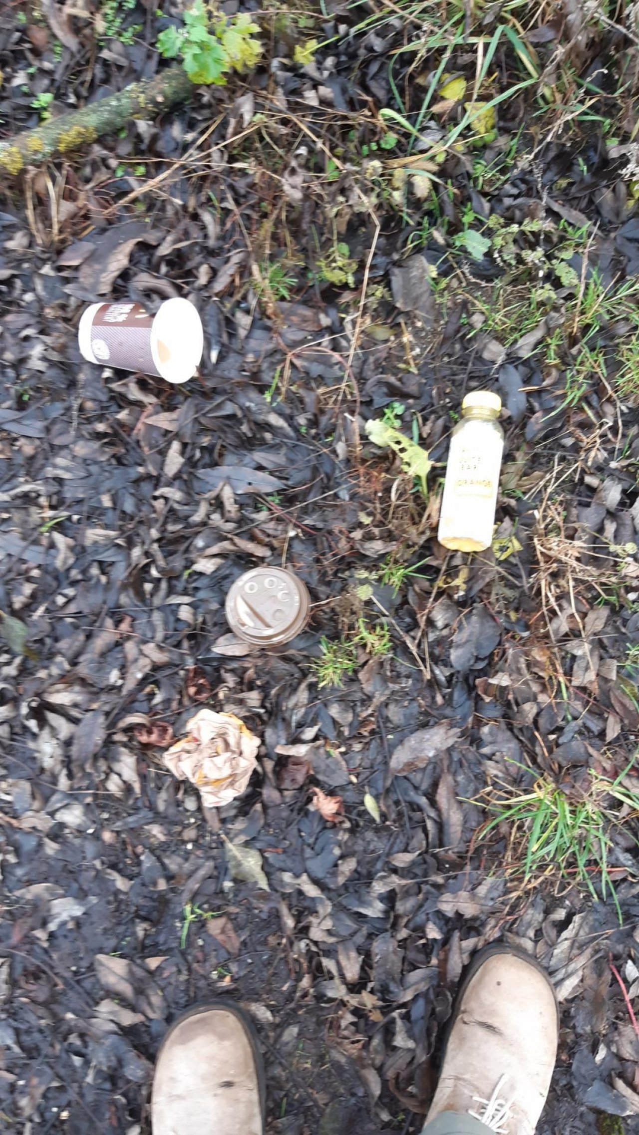 litter in DRECKSPOTZ | GLOBAL 2000 App spotted by Rudolf Haselböck on 22.12.2020