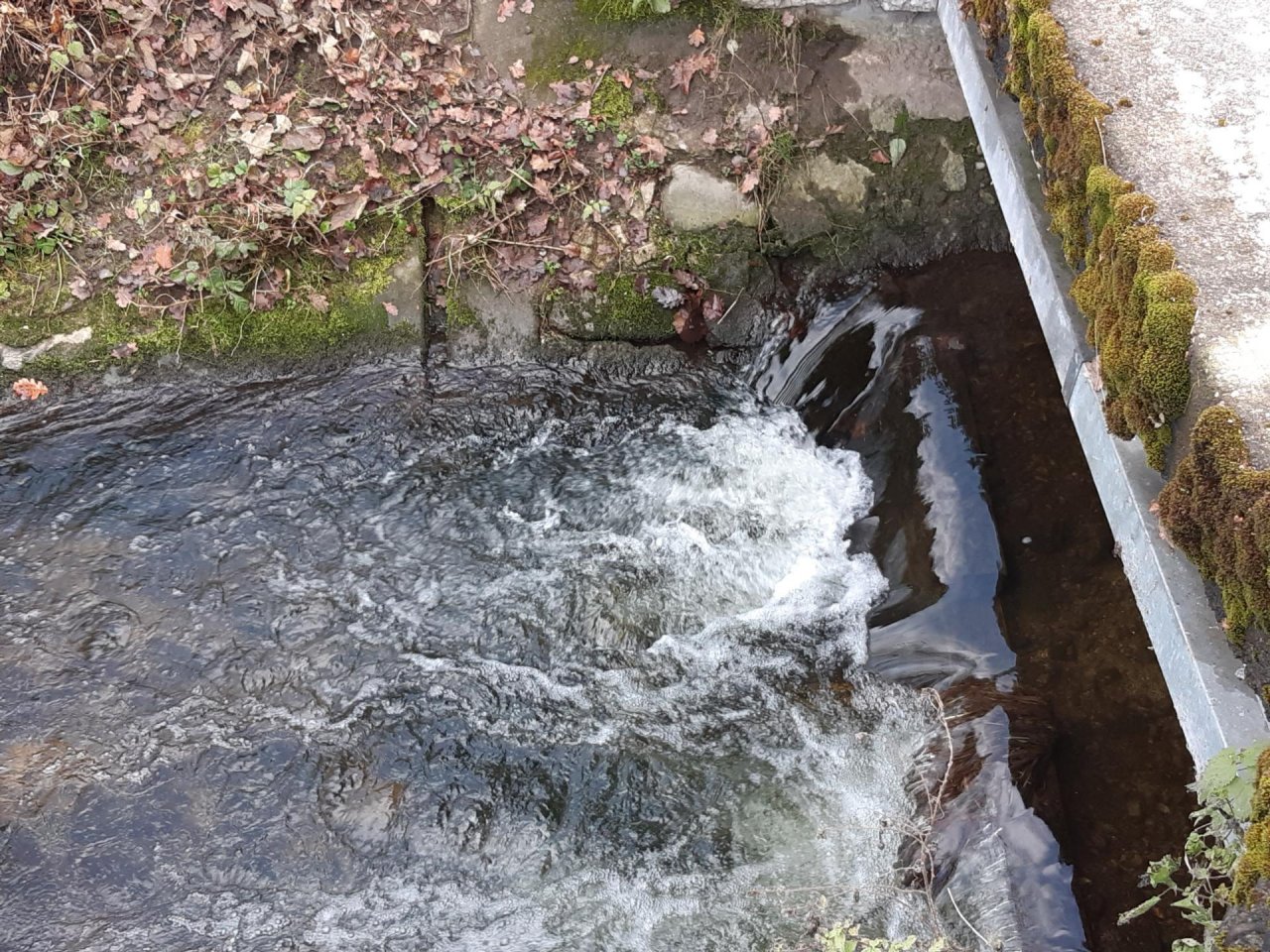 virtual scale in CrowdWater App spotted by Auria Buchs on 17.12.2020