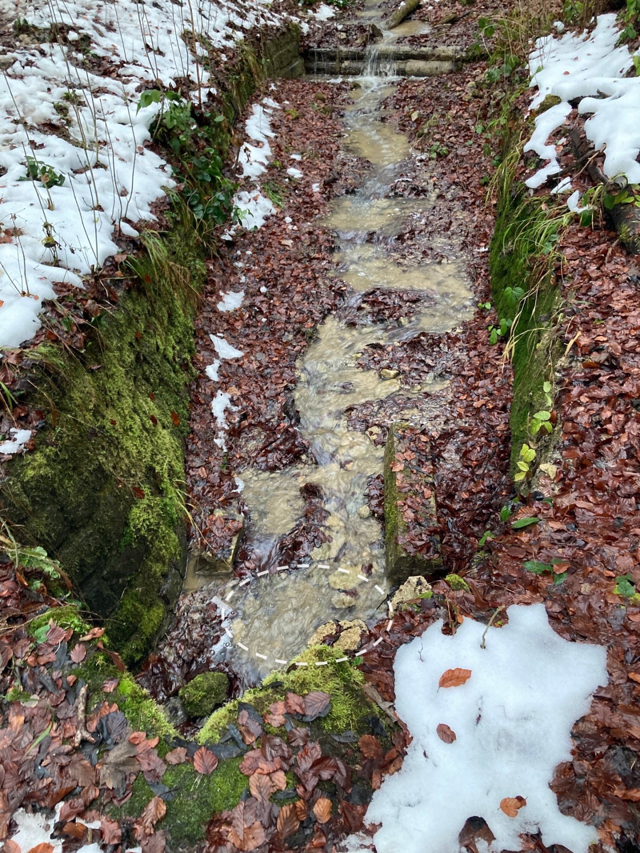 temporary stream in CrowdWater App spotted by Andhaz on 13.12.2020