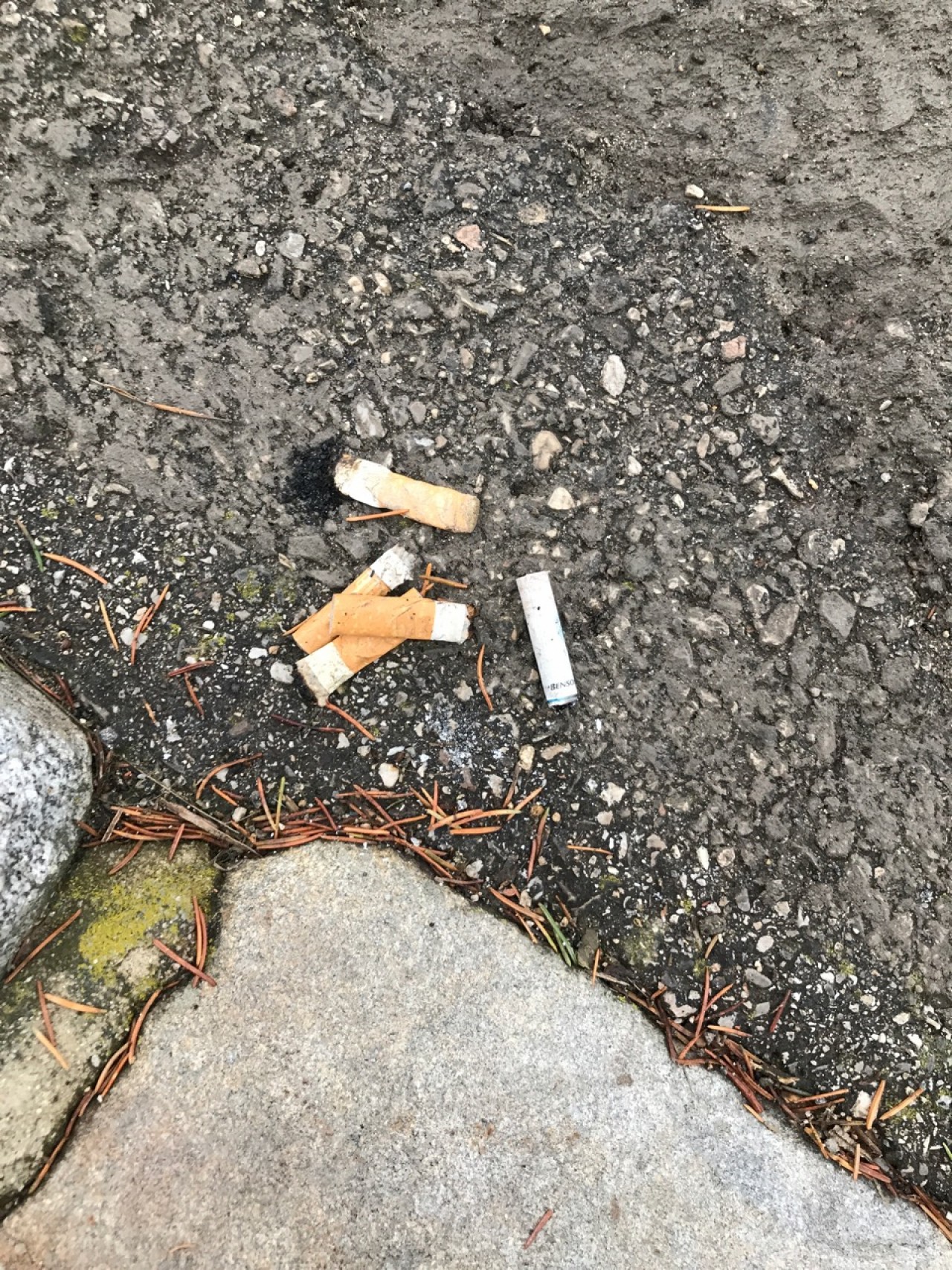 Weitere 10 Stummel bis zum ca 200 Schritte entfernten Mistkübel aufgesammelt | 