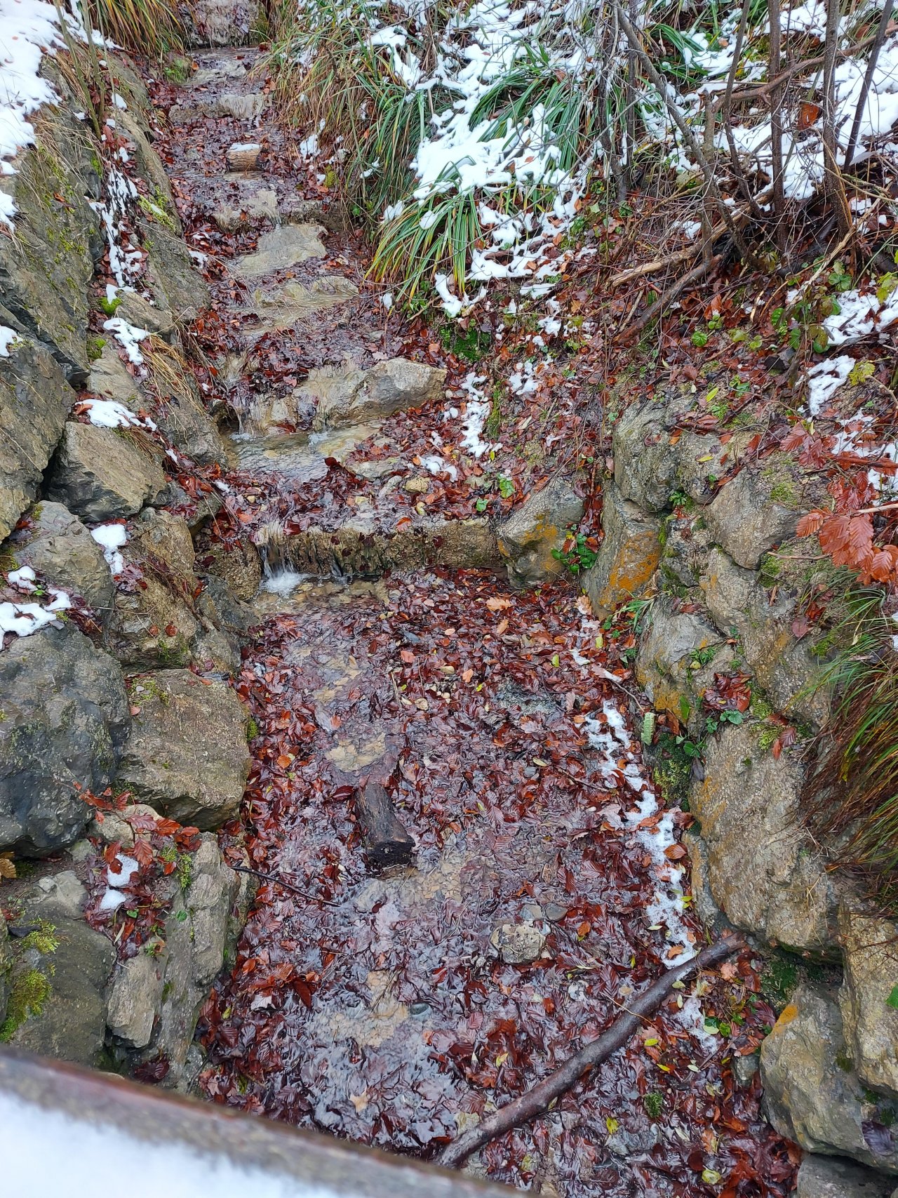 temporary stream in CrowdWater App spotted by Mirjam Scheller on 08.12.2020