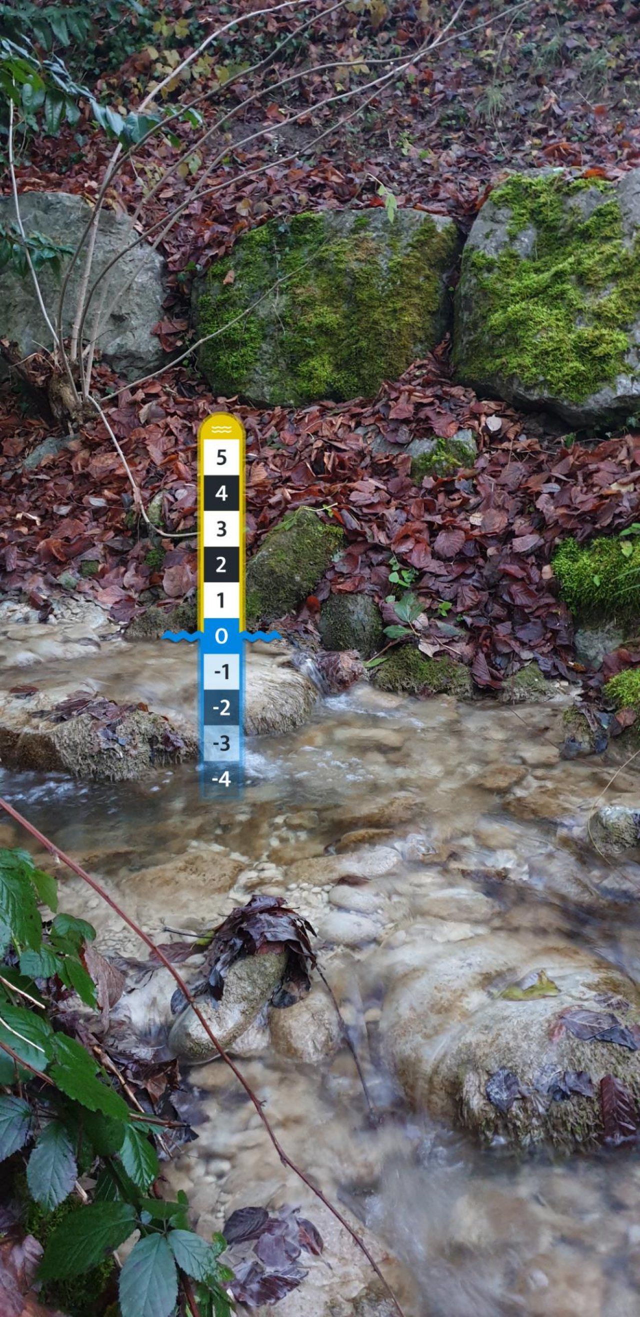 virtual scale in CrowdWater App spotted by magi98 on 20.12.2020