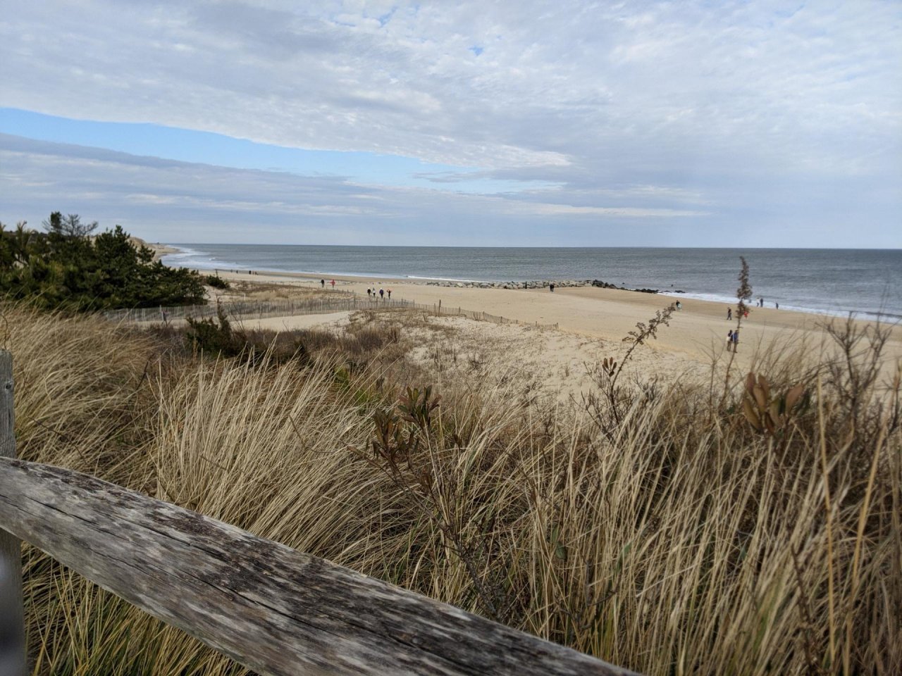 Coastsnap Station in CoastSnap App spotted by Lori Hans on 28.12.2020