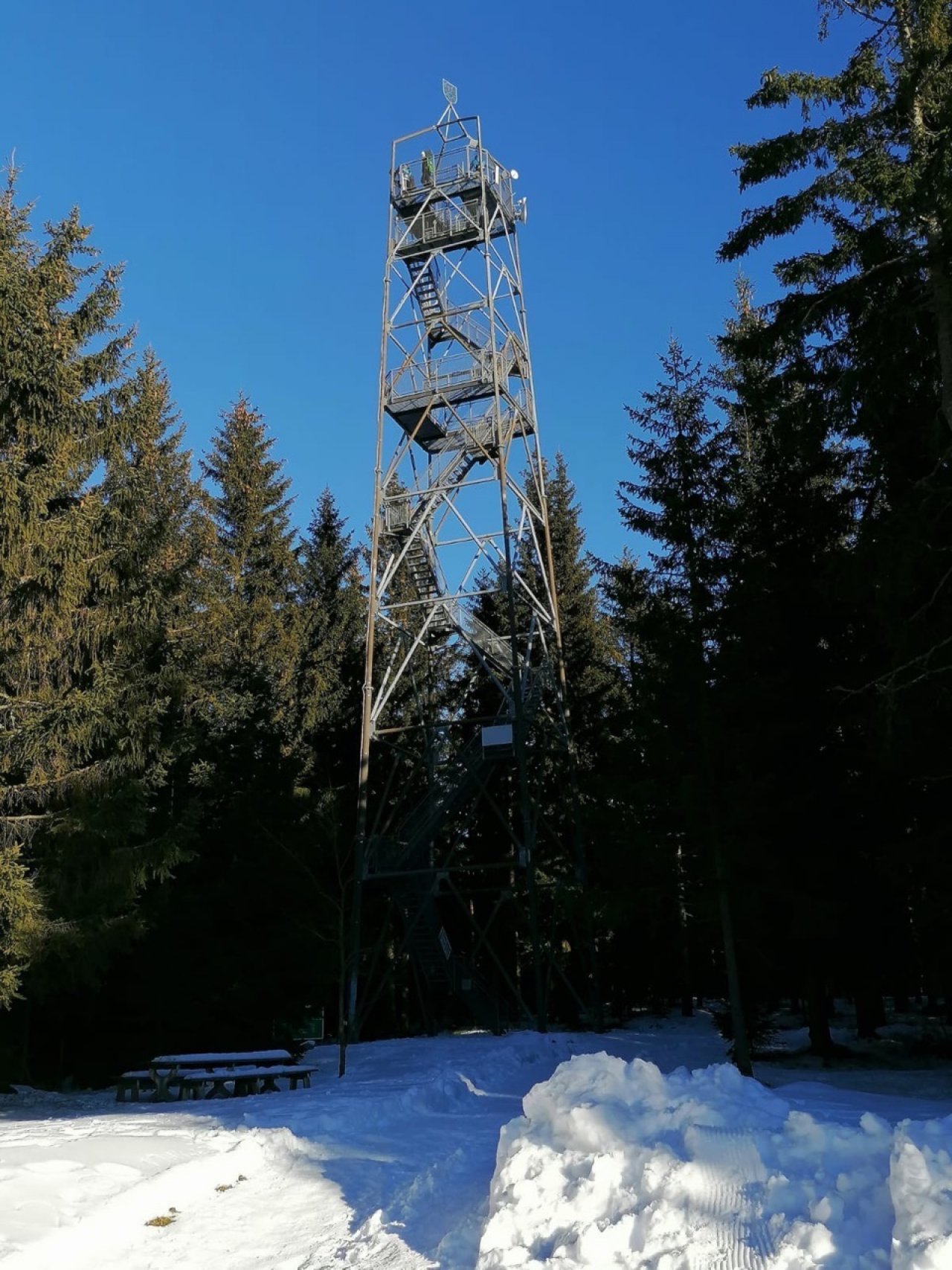 Fichte in Naturkalender App spotted by Franz on 19.12.2020