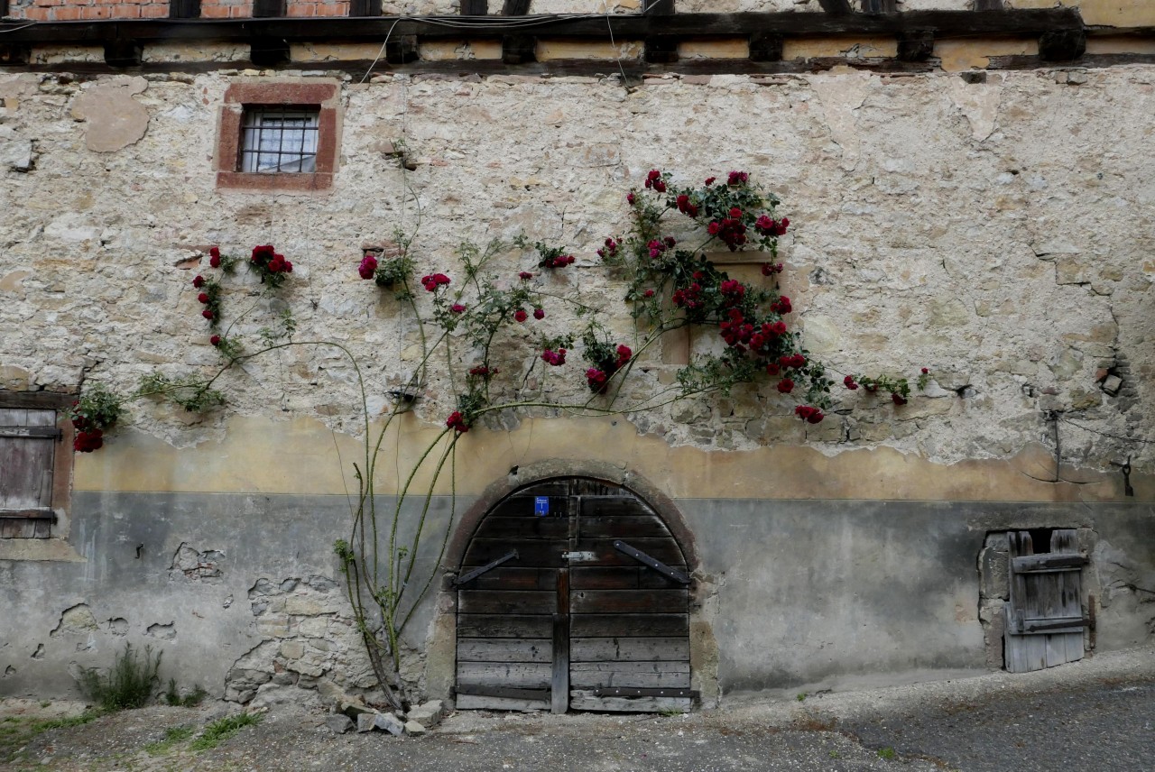 Untergeschoss eines Bauernhauses | Landauf, LandApp BW App | 10.12.2020