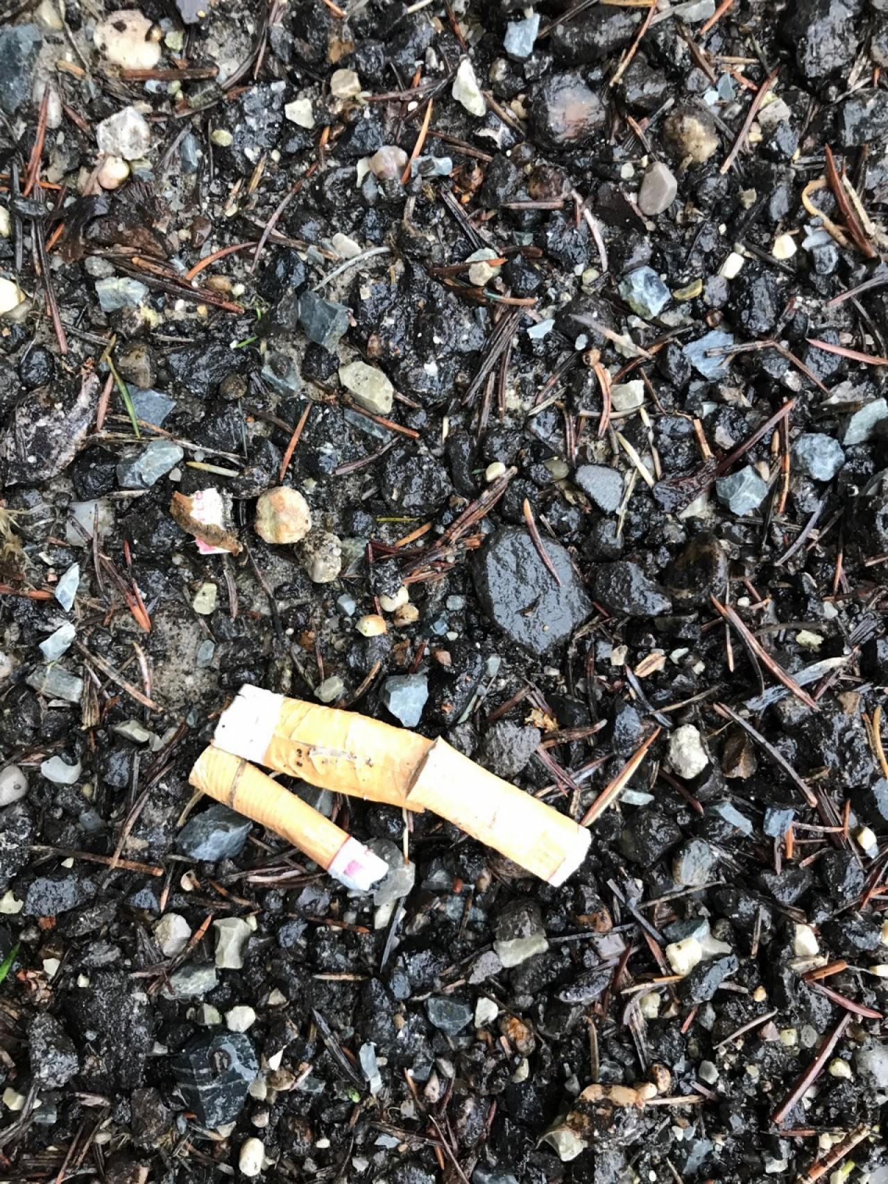 Leider waren in unmittelbarer Nähe weitere 9 Stummel 🙁 | DRECKSPOTZ | 