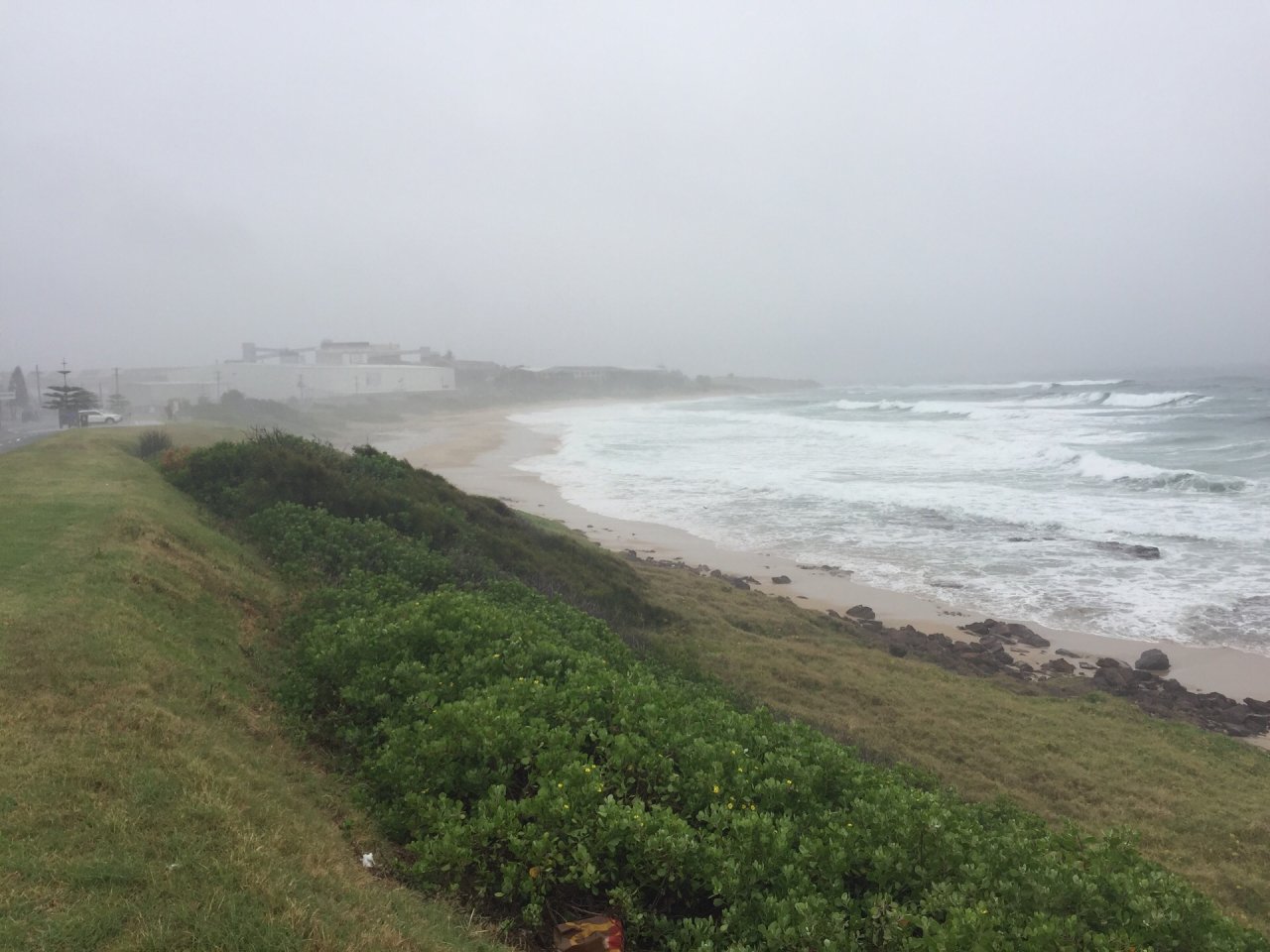 Coastsnap Station in CoastSnap App spotted by Whales on 15.12.2020