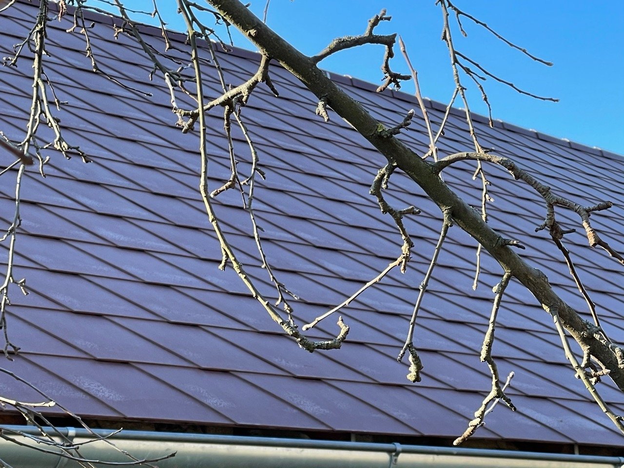 Reif in Naturkalender App spotted by Franz on 07.03.2021