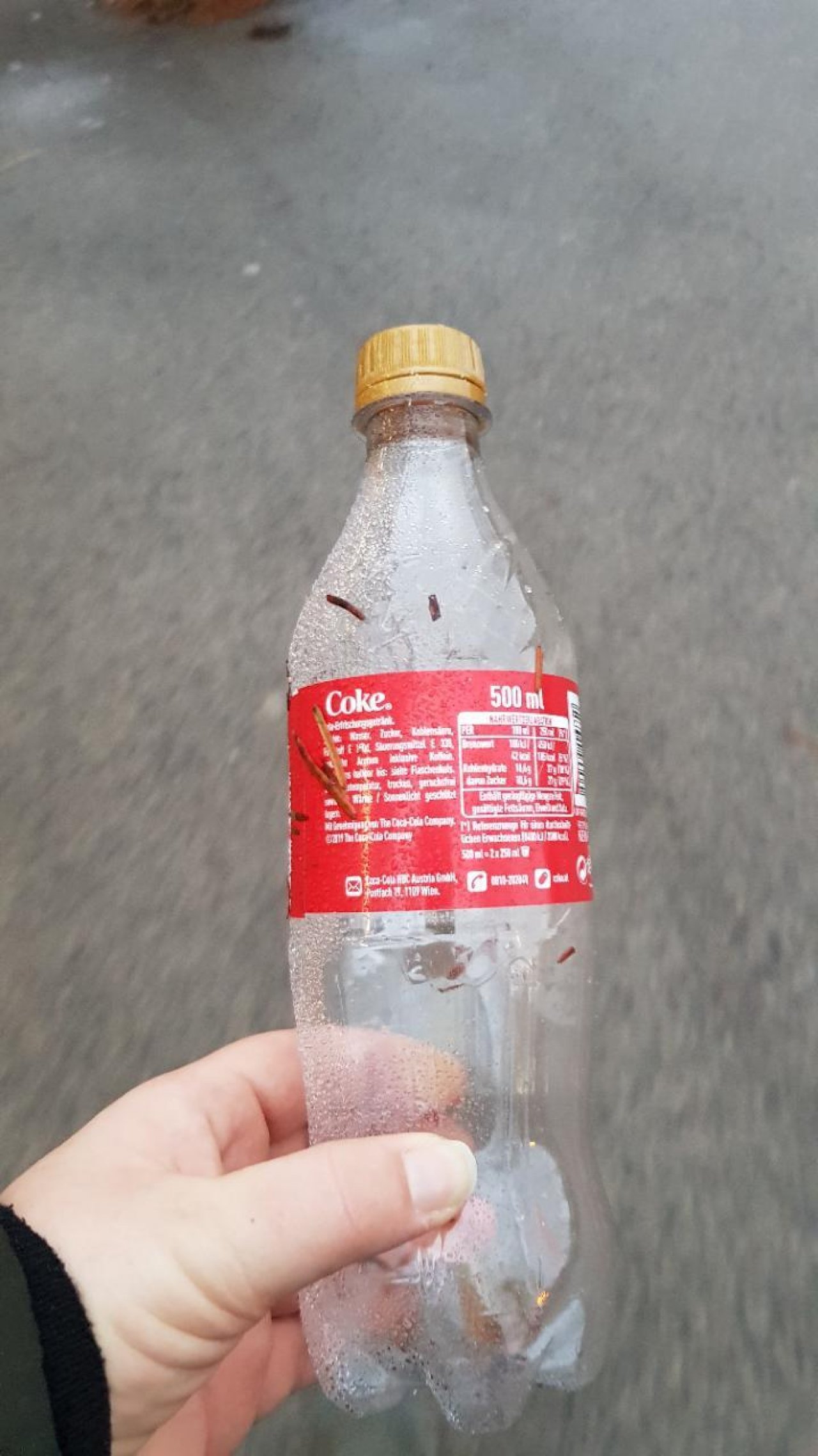 litter in DRECKSPOTZ | GLOBAL 2000 App spotted by Sommerphlox on 20.12.2020