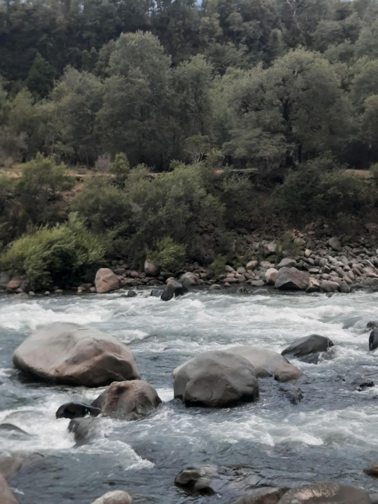 virtual scale in CrowdWater App spotted by Camila Bañales-Seguel on 10.12.2020