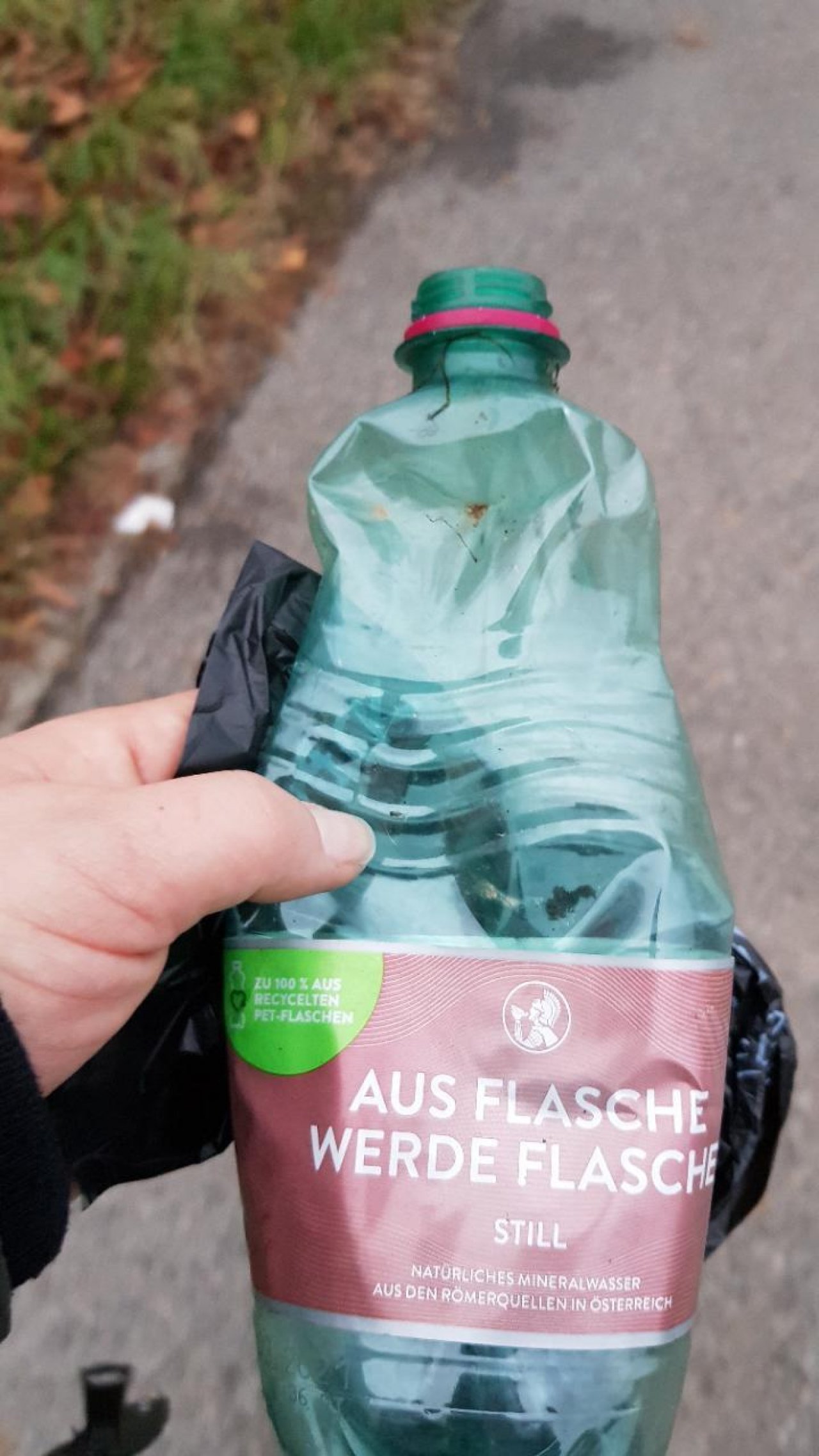 litter in DRECKSPOTZ | GLOBAL 2000 App spotted by Sommerphlox on 17.12.2020