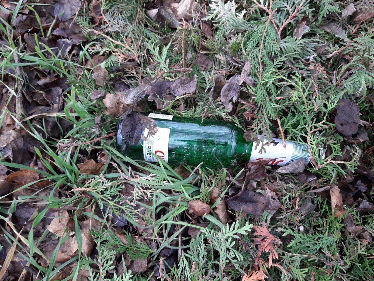 litter in DRECKSPOTZ | GLOBAL 2000 App spotted by Gudrun H. on 09.01.2021