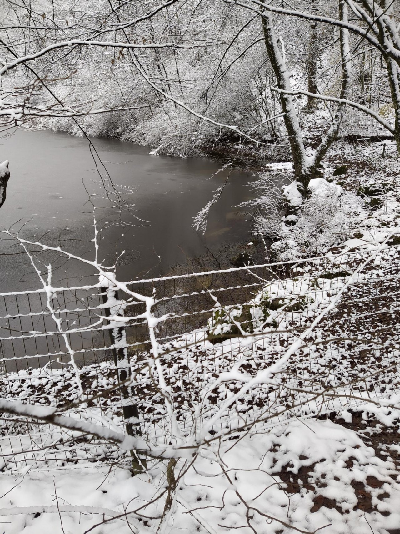 Schlecht erkennbar. | CrowdWater App | 10.12.2020