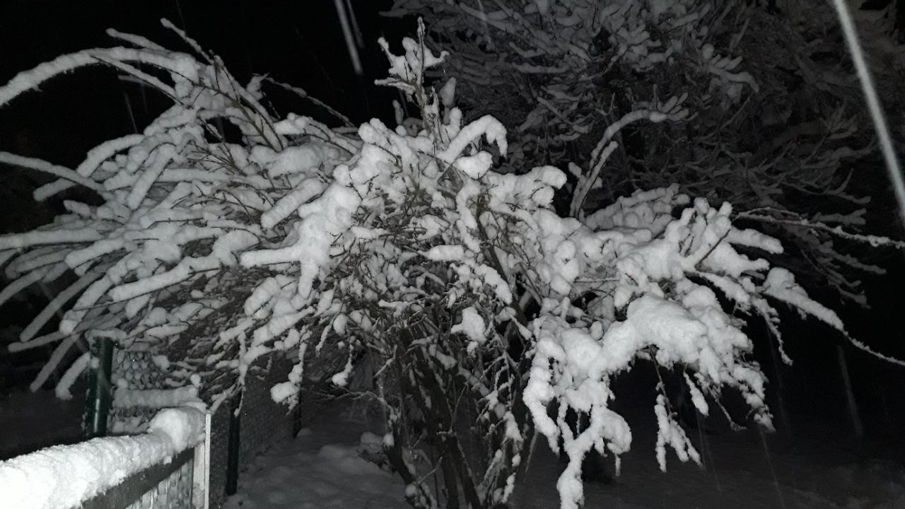 Komplett zusammengedrückt, 17 cm Neuschnee | Naturkalender App | 09.12.2020