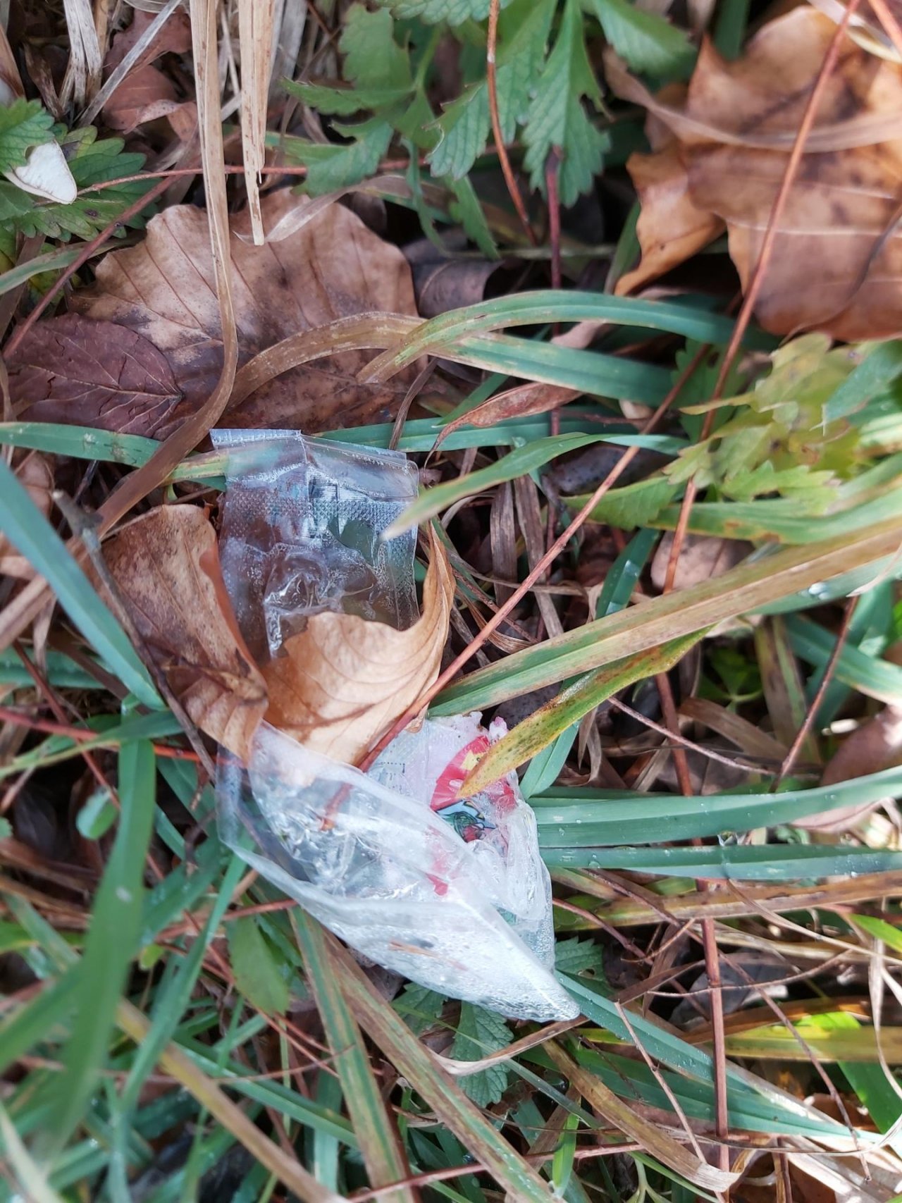 litter in DRECKSPOTZ | GLOBAL 2000 App spotted by Harald MARK on 22.12.2020