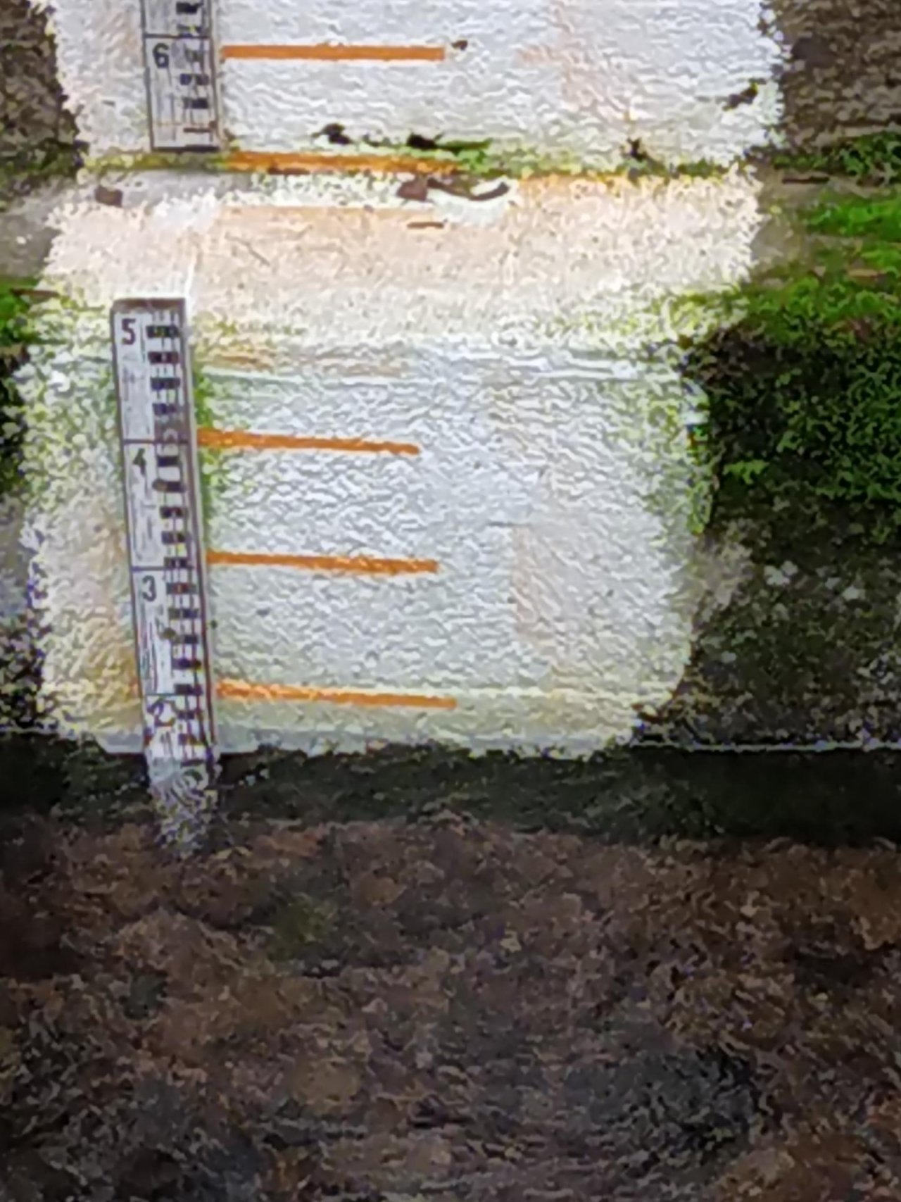 physical scale in CrowdWater App spotted by NoahatArk on 05.01.2021