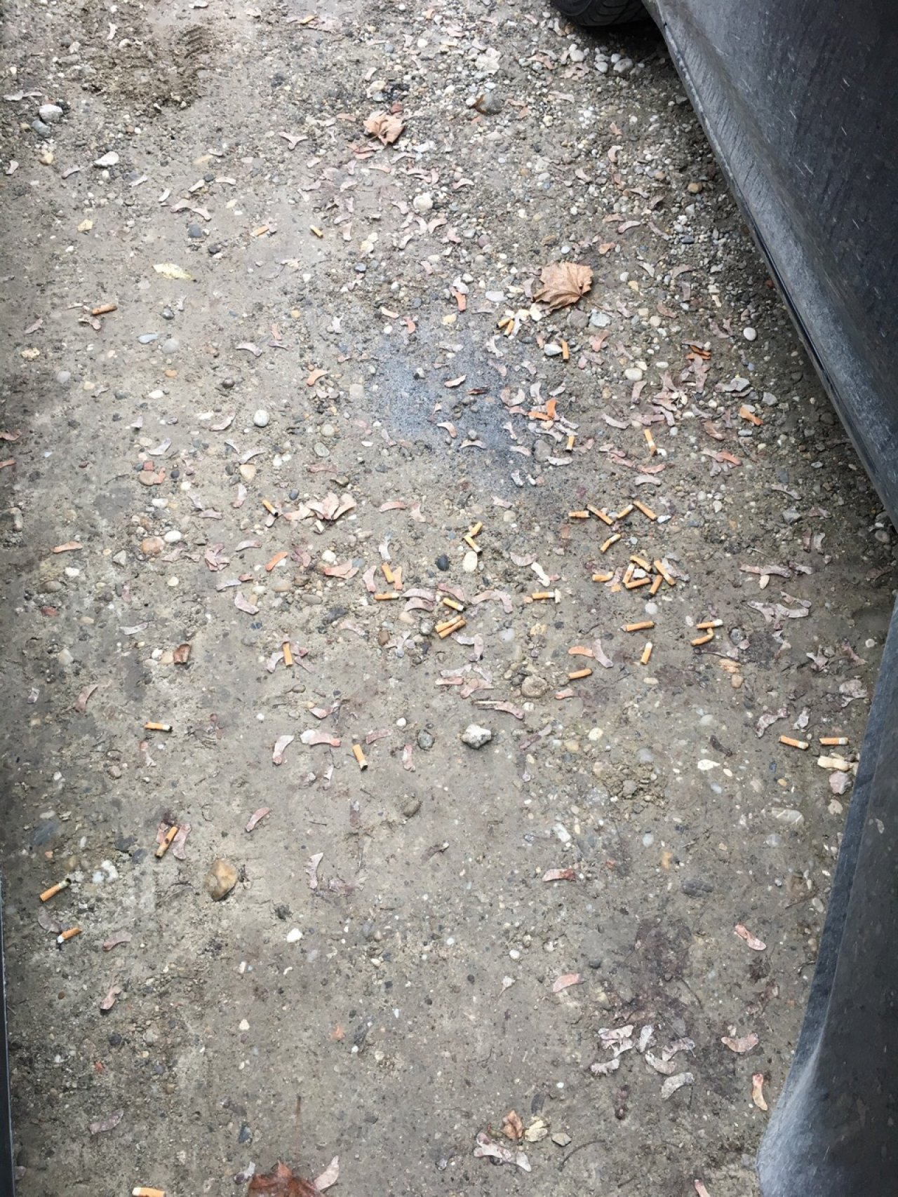 litter in DRECKSPOTZ | GLOBAL 2000 App spotted by DominikF on 15.12.2020